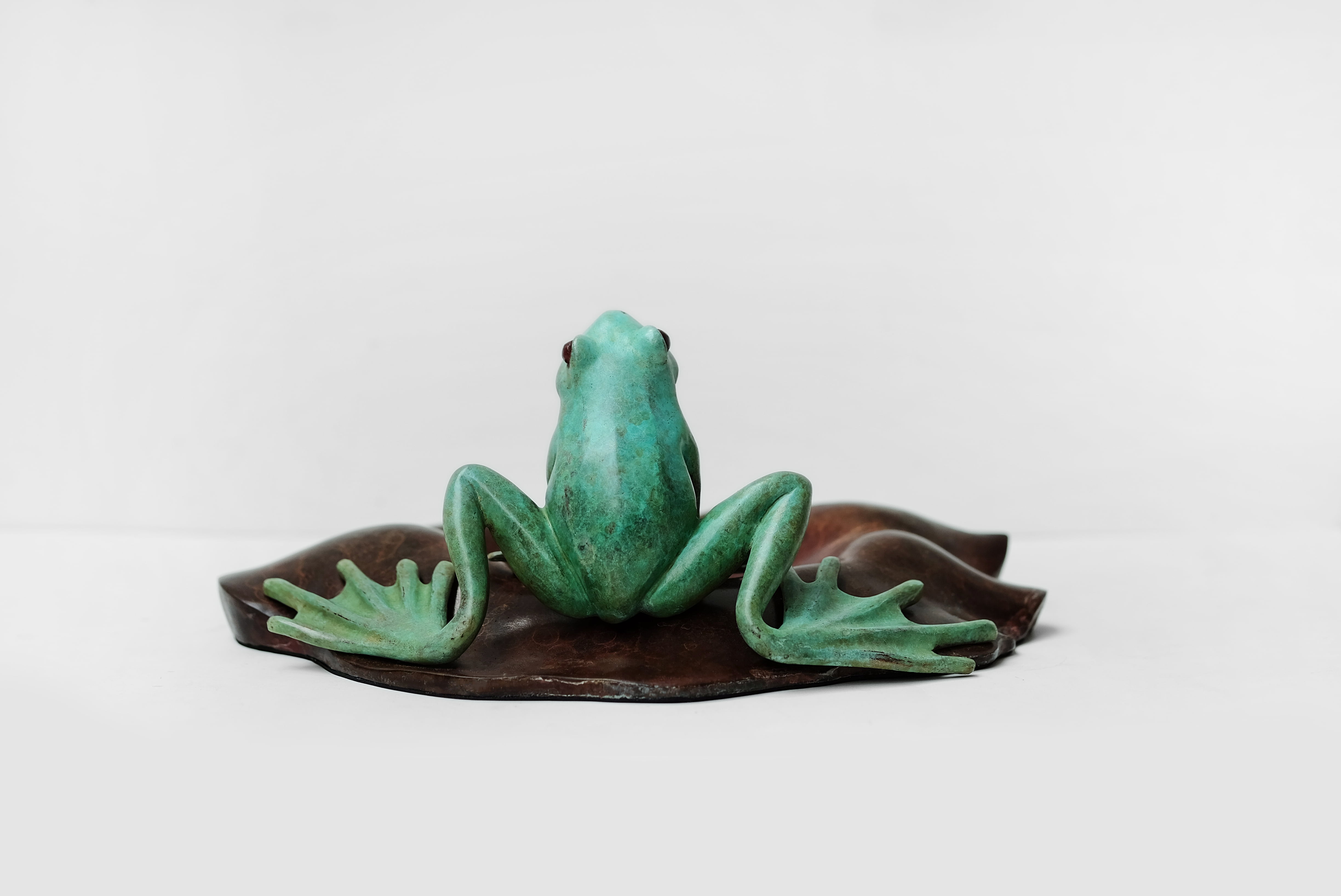 food, wellbeing, art and craft, vegetable, succulent plant, copper, studio shot, healthy eating, freshness, frog, green color, copy space, raw food, art installation, HD Wallpaper