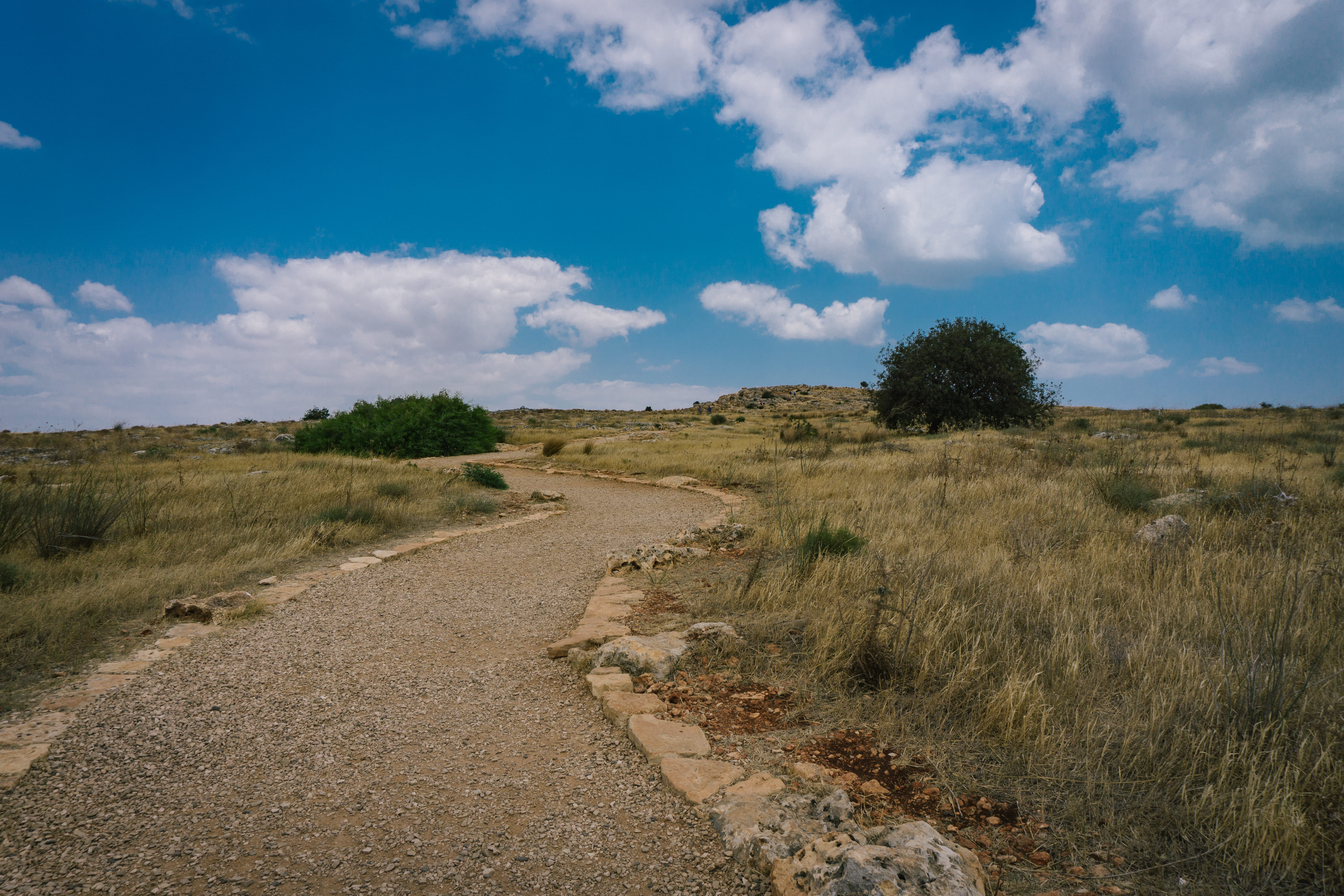 park, mount, tree, environment, dirt, day, trail, plant, rock, sky, road, 5K, galilee, path, scenics - nature, trees, diminishing perspective, beauty in nature, HD Wallpaper