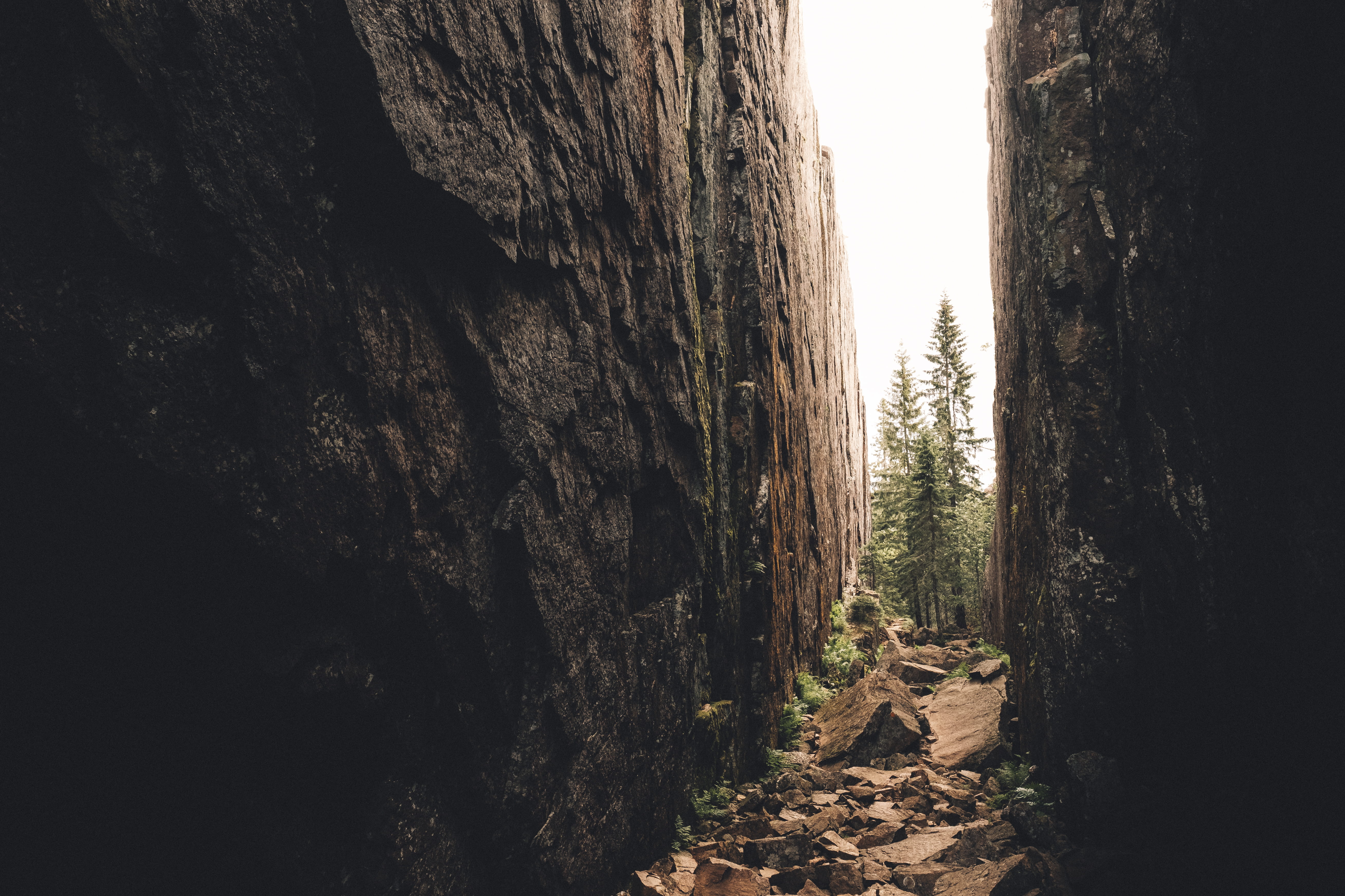 plant, scandinavia, valley, trees, cliff, built structure, nature, woods, nordic, outdoors, högakusten, rock - object, sweden, no people, 5K, rock formation, HD Wallpaper