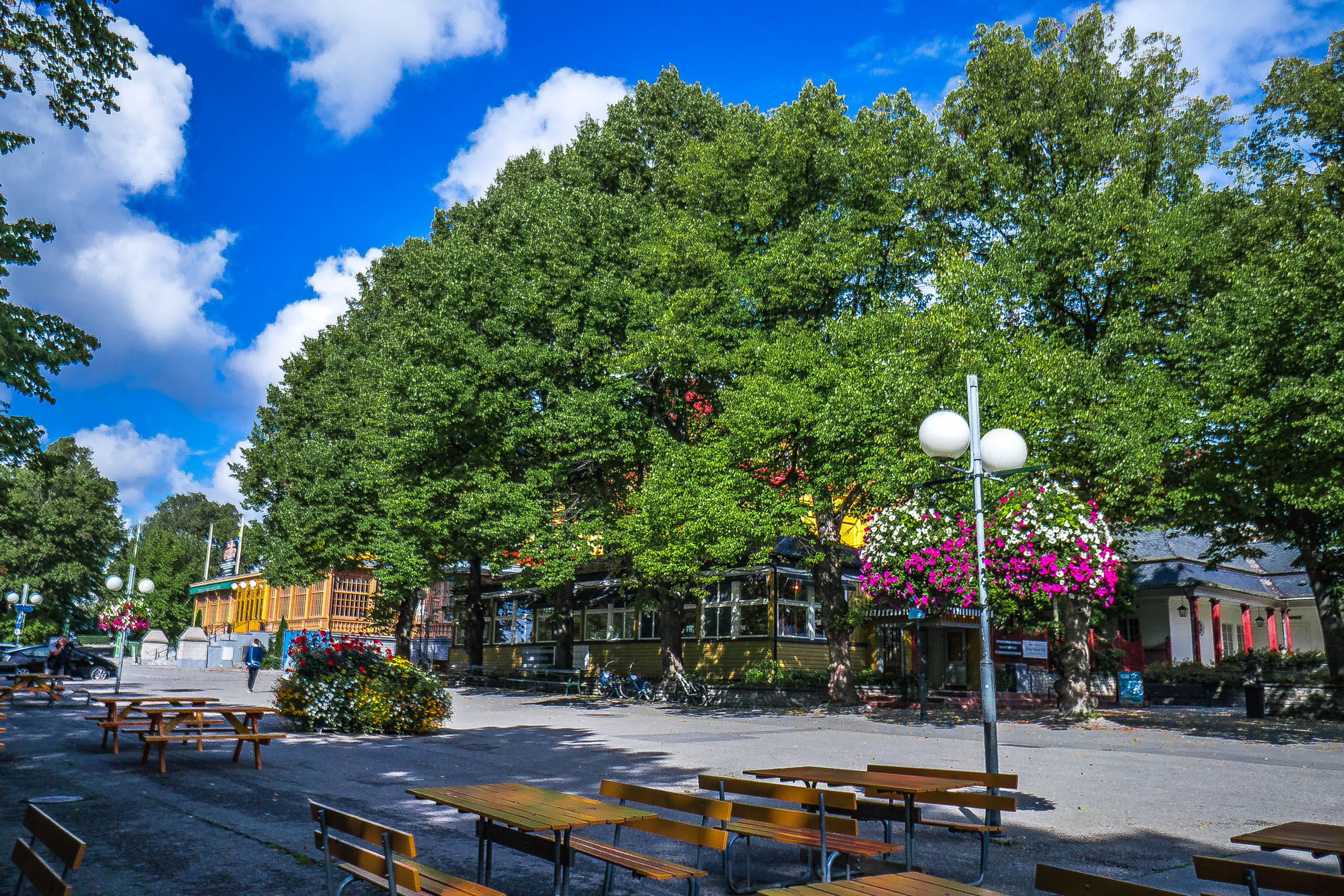 outdoors, scandinavia, sunlight, 4K, sky, cloud - sky, architecture, stockholm, sweden, plant, nature, street light, skansen, street, seat, built structure, HD Wallpaper