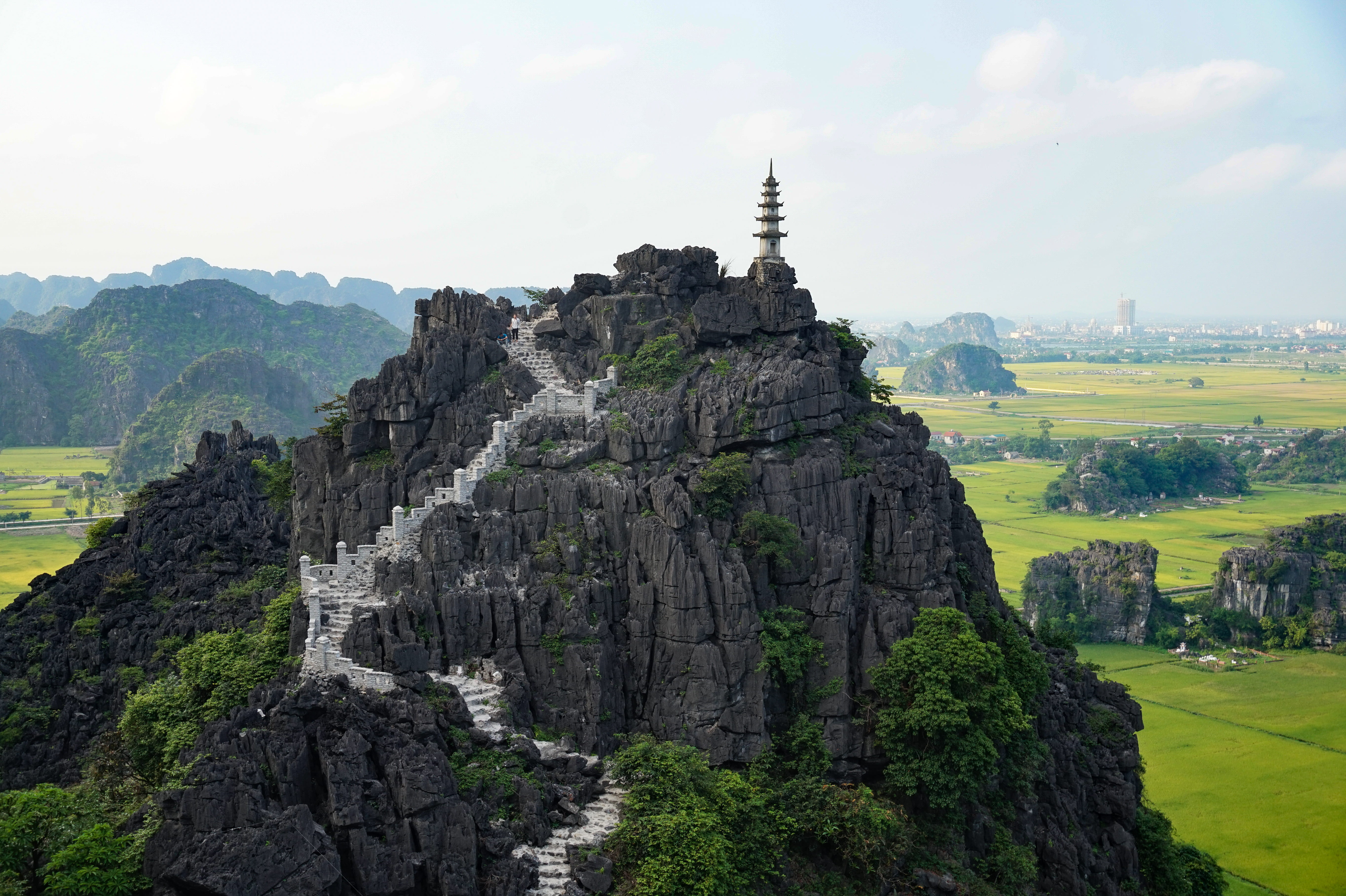tourism, tree, vietnam, trek, brown, outdoors, rice field, religious, solid, landscape, cliff, stair, white, summit, daytime, land, ninh bình, scenics - nature, HD Wallpaper