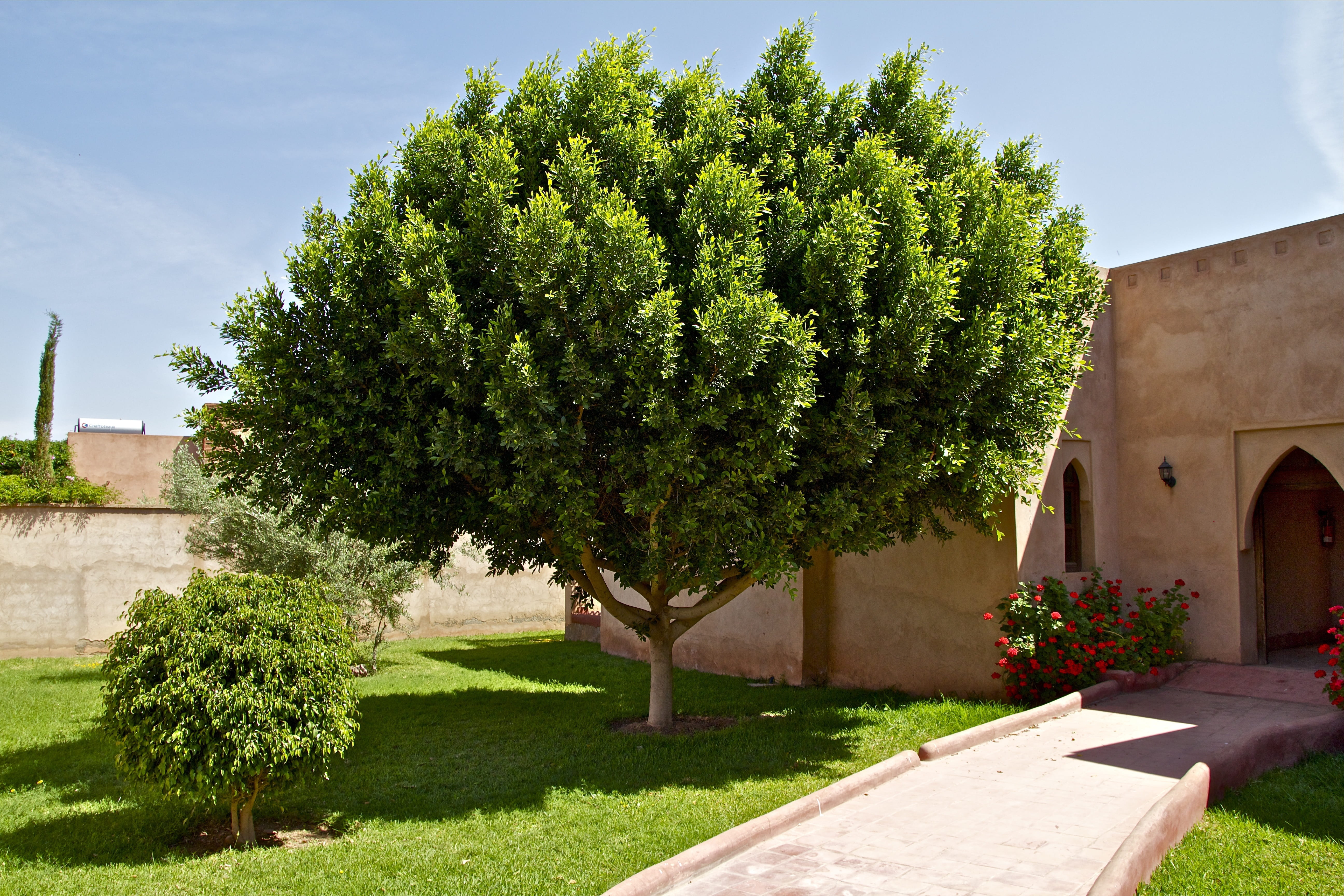day, summer, home, nature, building, footpath, arabic, no people, north africa, sunlight, front or back yard, marrakech, entrance, sky, romance, 5K, green, HD Wallpaper