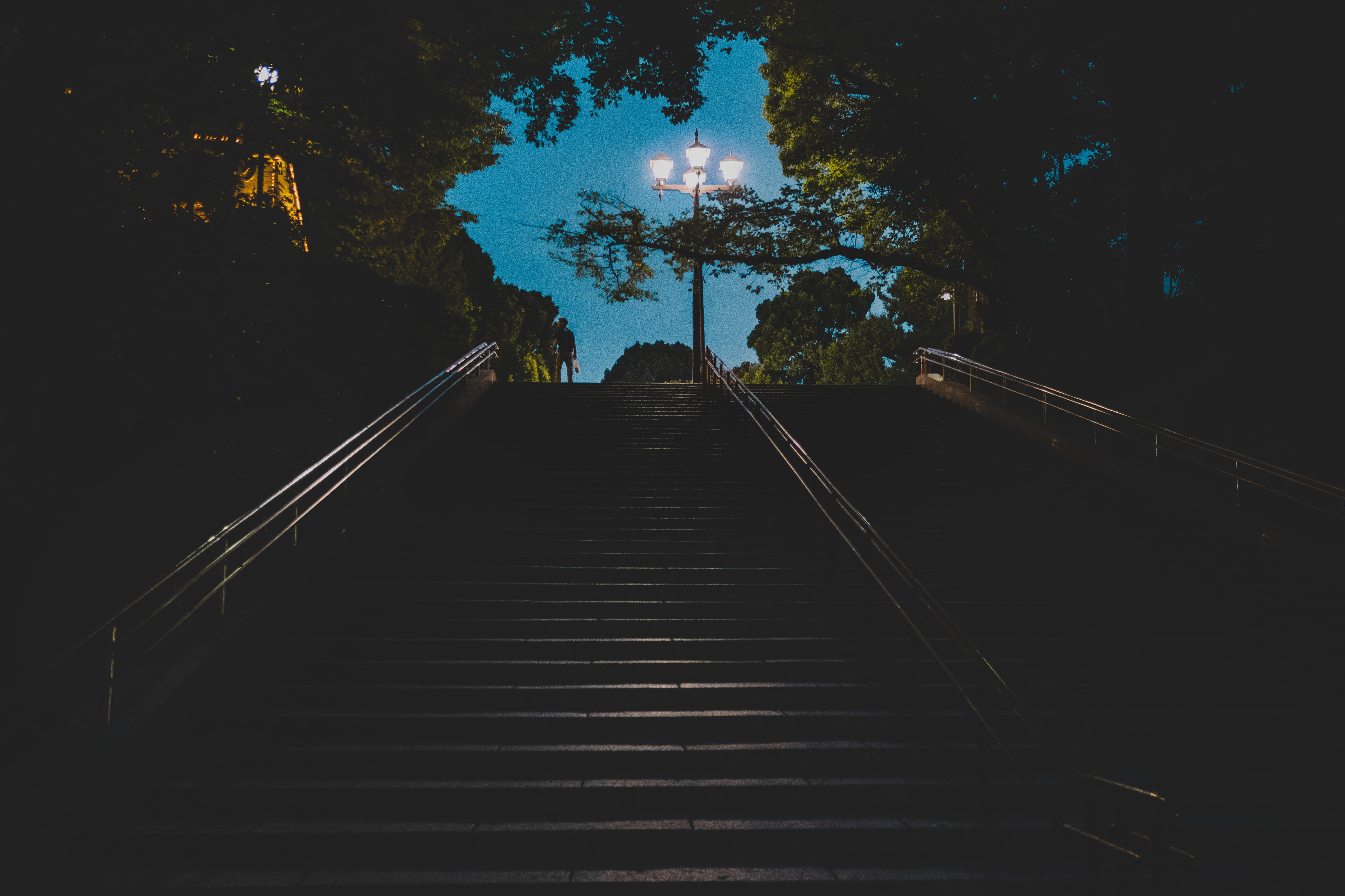 tokyo, the way forward, 5K, growth, dusk, outdoors, plant, no people, tree, illuminated, sky, japan, leadership, low angle view, nature, staircase, direction, HD Wallpaper