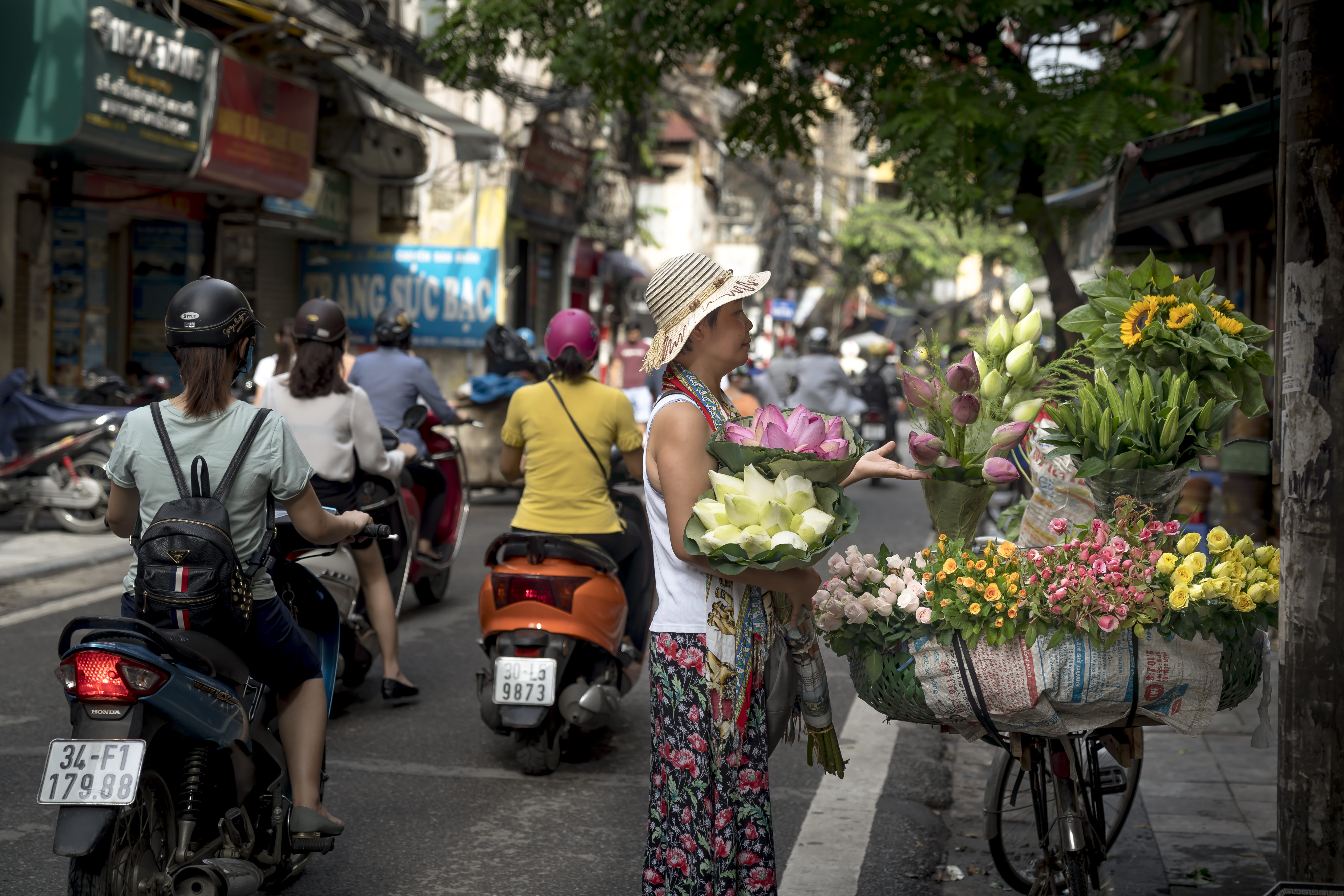 adult, lifestyles, flowering plant, street, shopping, urban, beautiful flowers, woman, transportation, sell, real people, flower, buying, bicycle, crowd, HD Wallpaper