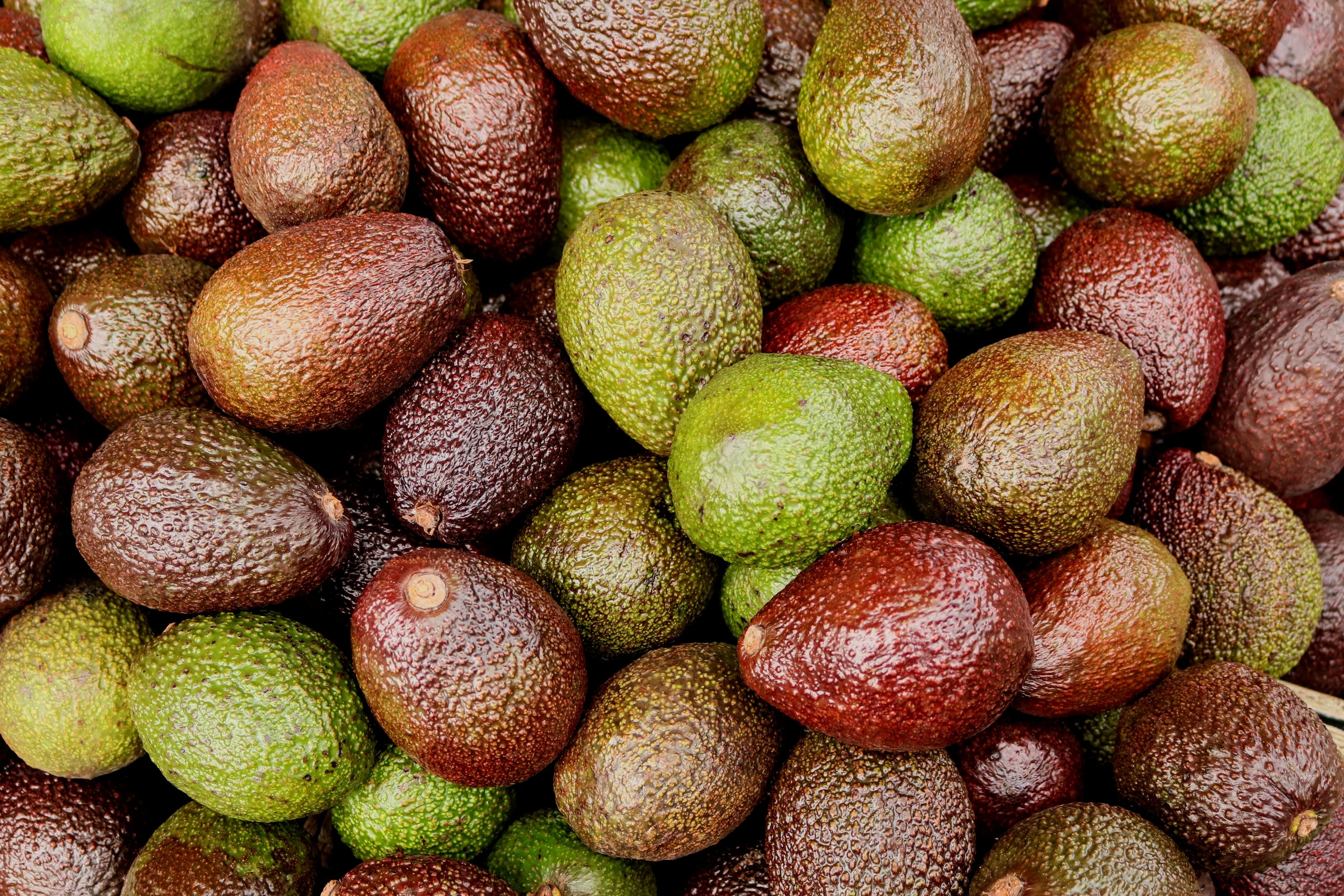 food, sweet, lychee, fill, large group of objects, nut - food, abundance, for sale, avocados, 4K, full frame, fruit, africa, fruits, no people, still life, HD Wallpaper
