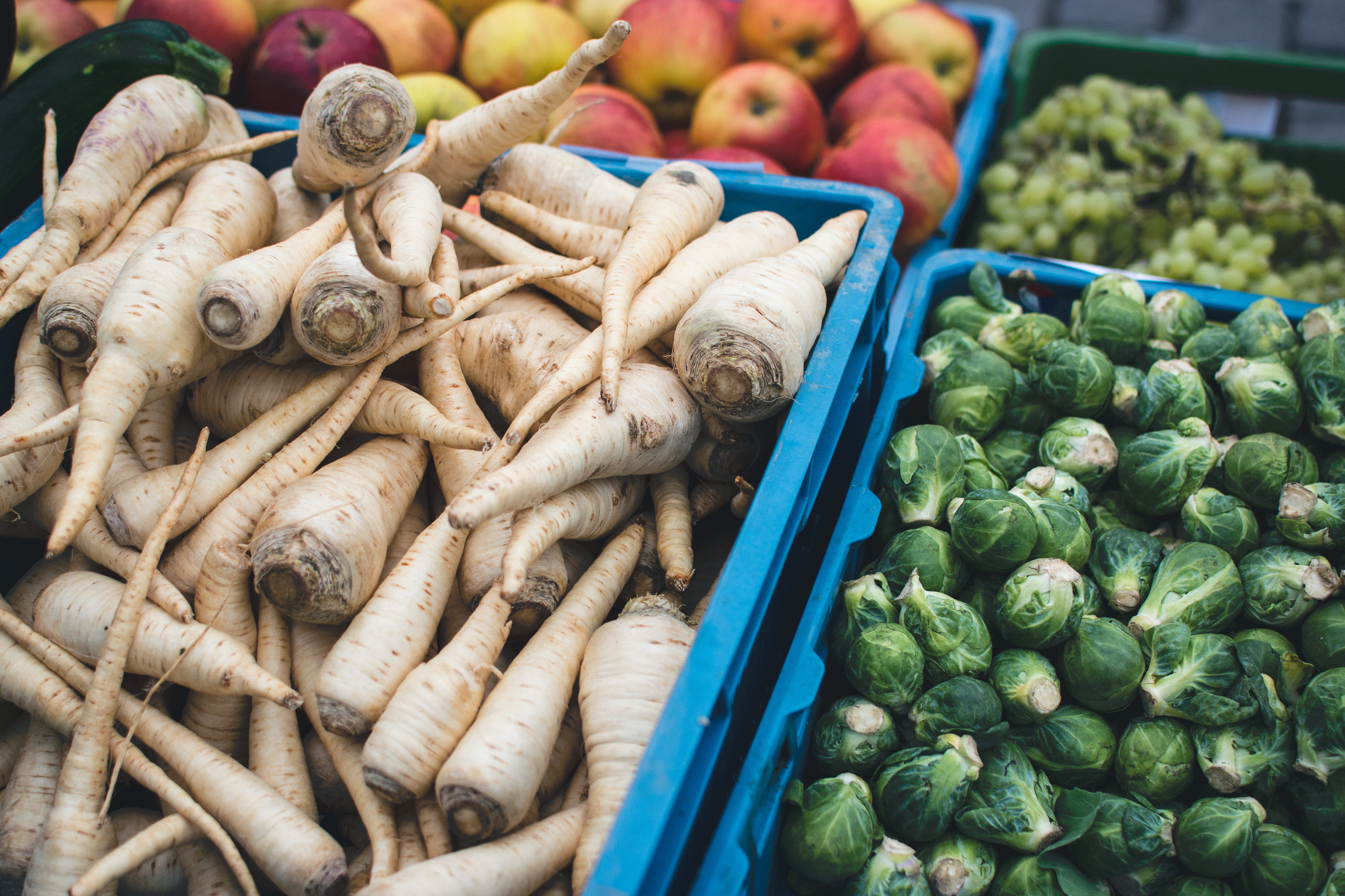 still life, Vegetables, farmers, freshness, variation, healthy, market, high angle view, root vegetable, outdoors, farmers market, choice, sale, retail, HD Wallpaper