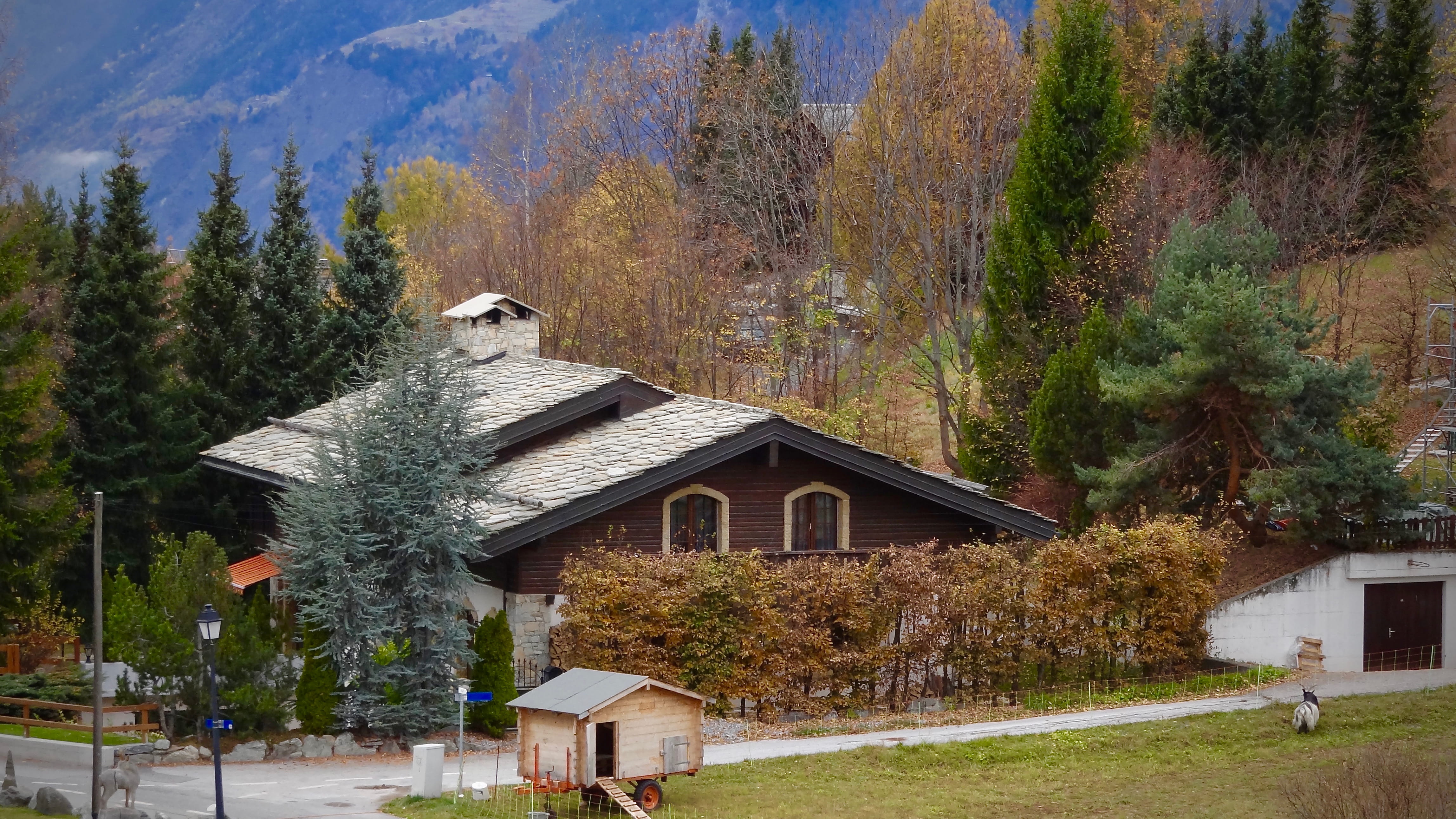 land, nendaz, animal themes, interlaken, house of valley, roof, building exterior, tree, no people, beauty in nature, cottage, outdoors, nature, residential district, HD Wallpaper