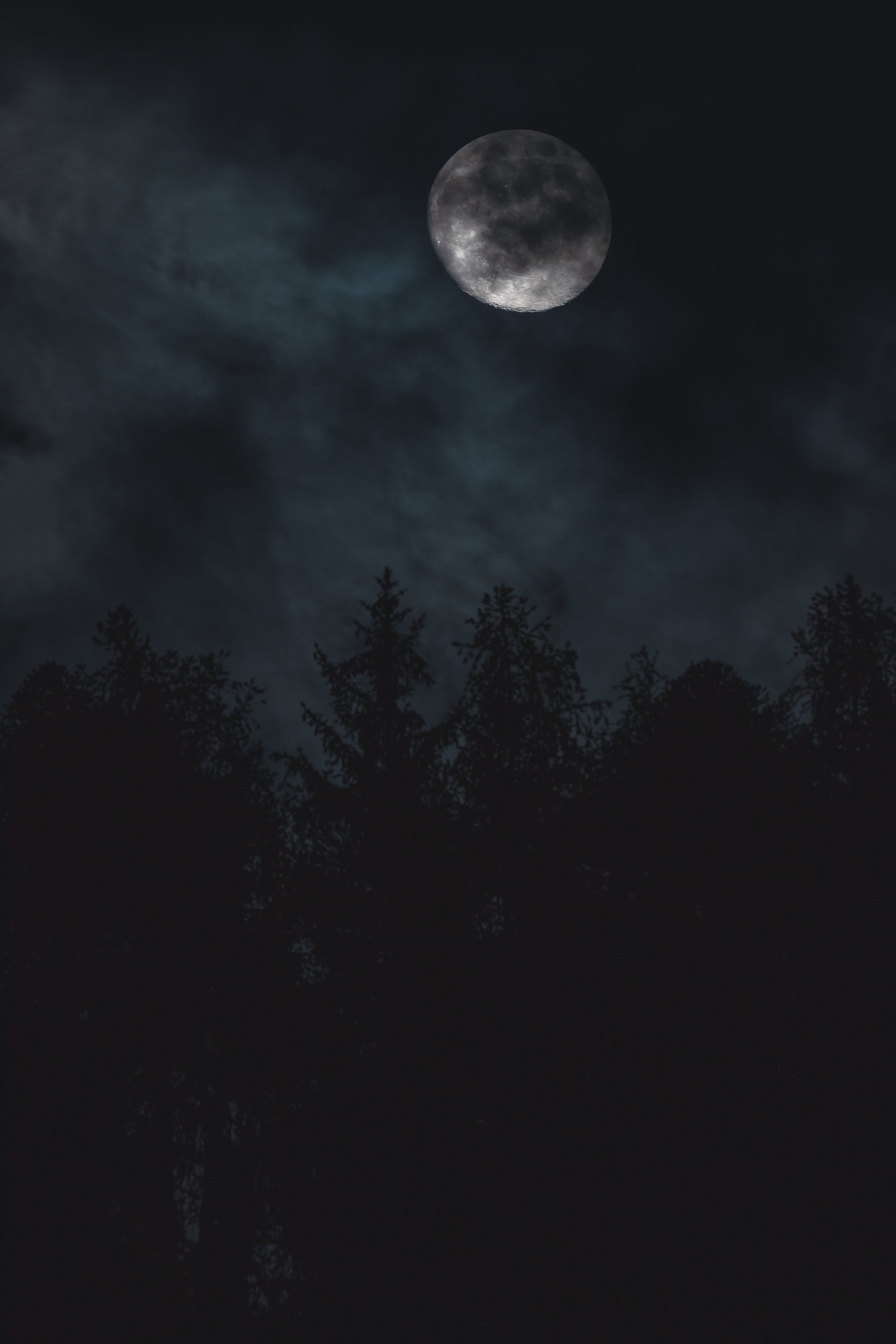 nature, evening, no people, universe, outdoors, covered, outer space, cloud - sky, valais, night, 5K, sadness, moon, moonlight, tree, tranquil scene, swiss, Phone HD Wallpaper