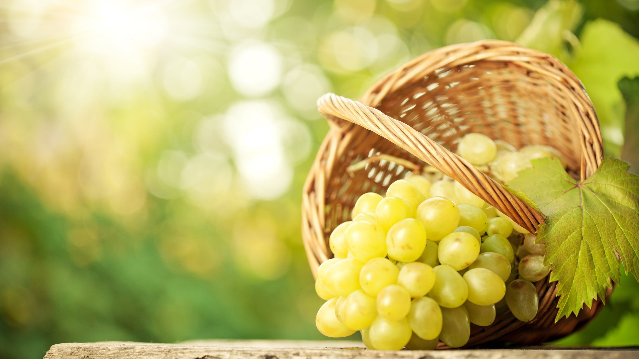 focus on foreground, wellbeing, 2K, plant, grapes, brown, freshness, agriculture, selective focus, container, no people, outdoors, green, food and drink, HD Wallpaper