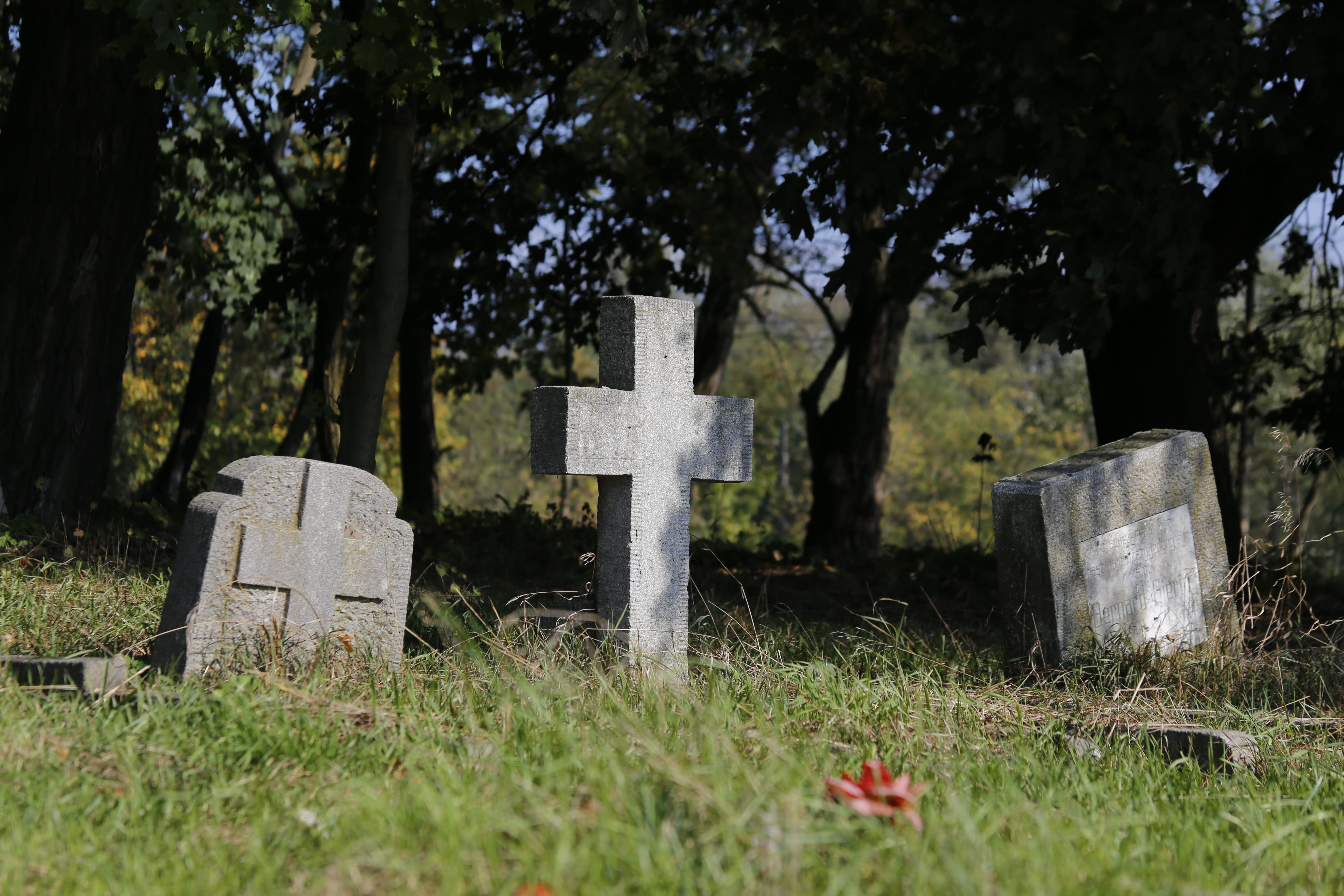 świerczewo disctrict, day, stone material, poland, outdoors, 2 victims of the above, field, grass, no people, religion, 5K, nature, tree, tombstone, stone, HD Wallpaper