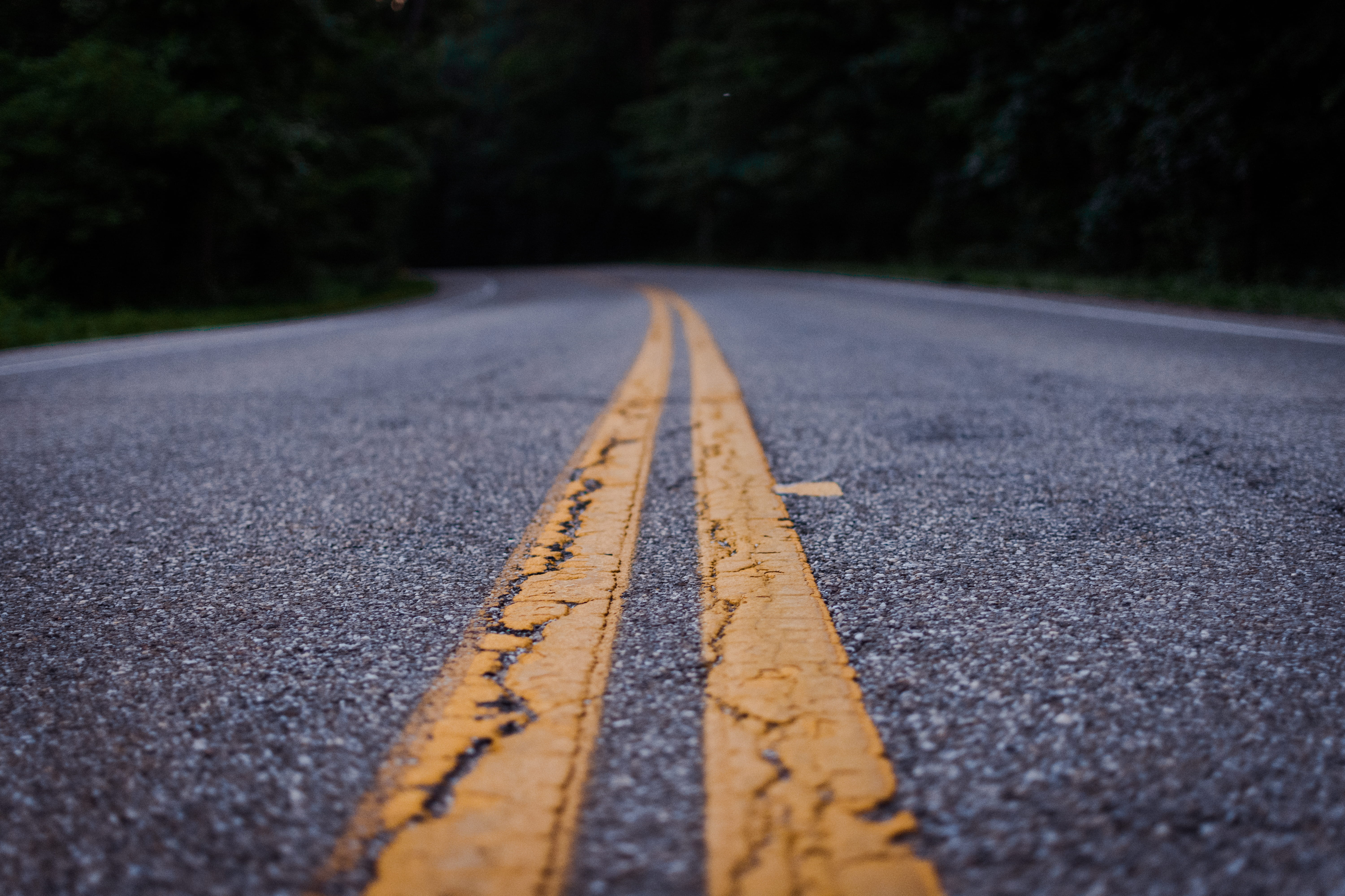 route, symbol, empty road, marking, gray, diminishing perspective, road marking, tree, photo, sign, transportation, perspective, tarmac, surface level, HD Wallpaper