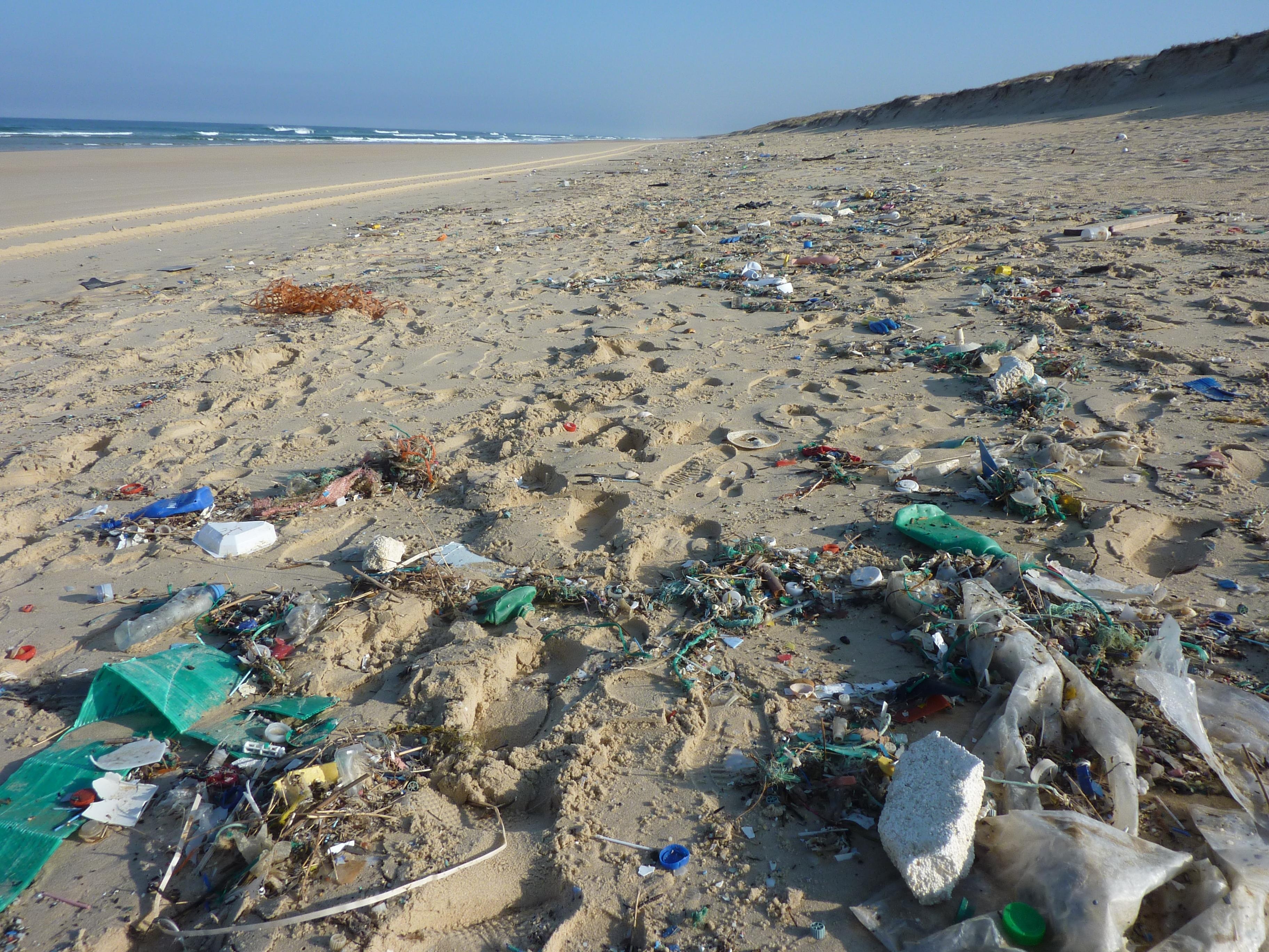 environmental issues, waste, dirty, coast, seashore, environment, beach, guise, 2K, line costs, garbage, day, nature, tranquil scene, sea, no people, scenics - nature, HD Wallpaper