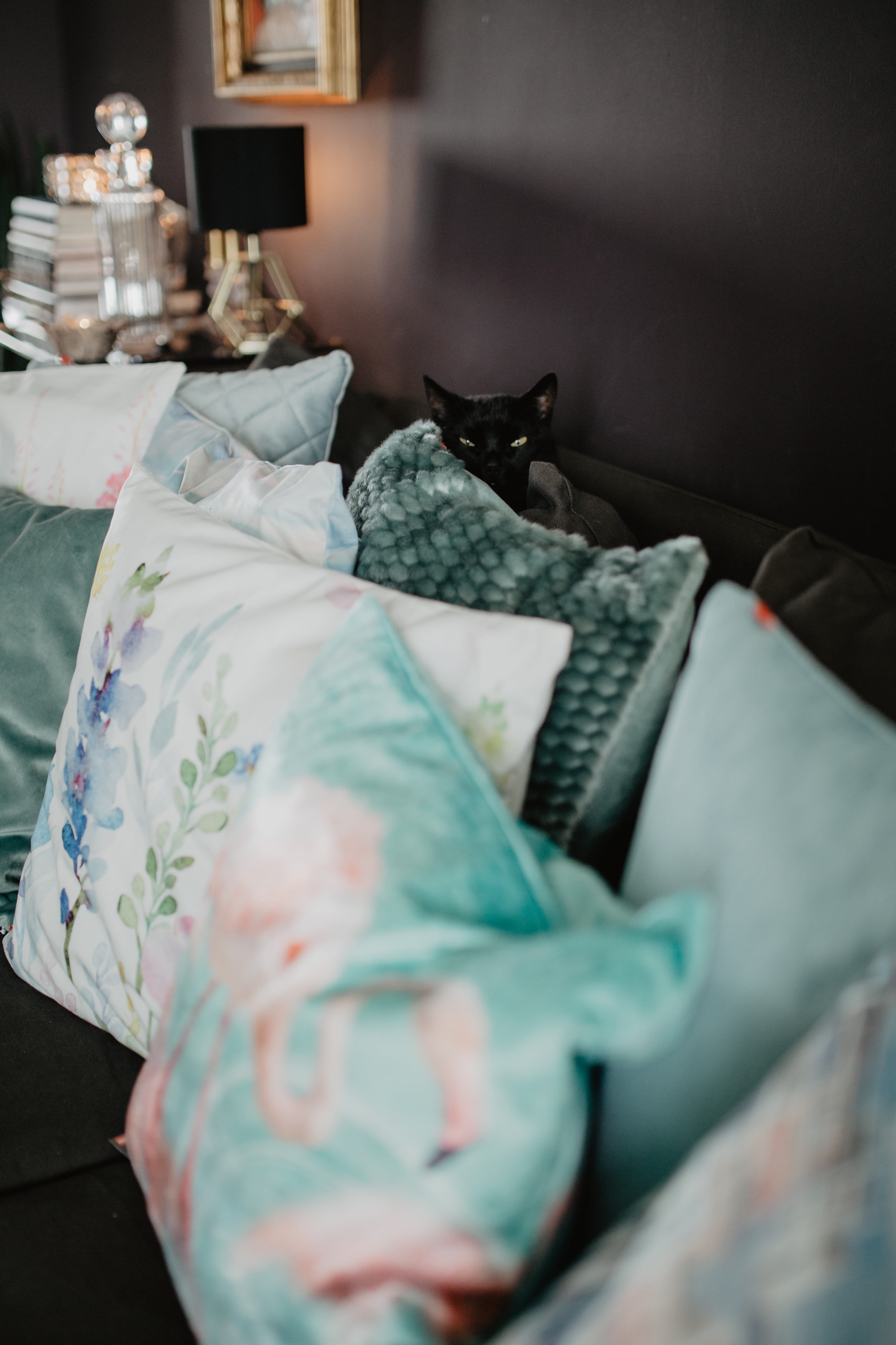 cat, sleeping, domestic cat, stuffed, home, modern, interior, home decor, 4K, furniture, decor, still life, domestic room, relaxation, sofa, decorations, Phone HD Wallpaper