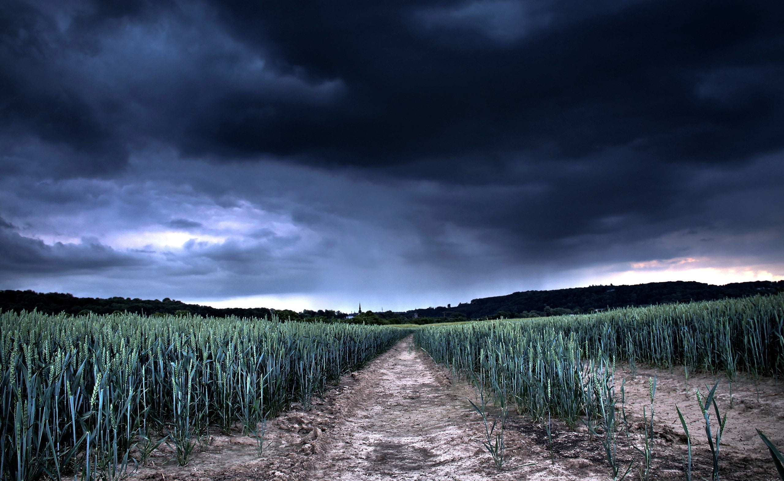 nature, dramatic Sky, dusk, ominous, land, outdoors, plants, tranquil scene, farm, green, springtime, summer, tranquility, no People, grass, clouds, growth, HD Wallpaper