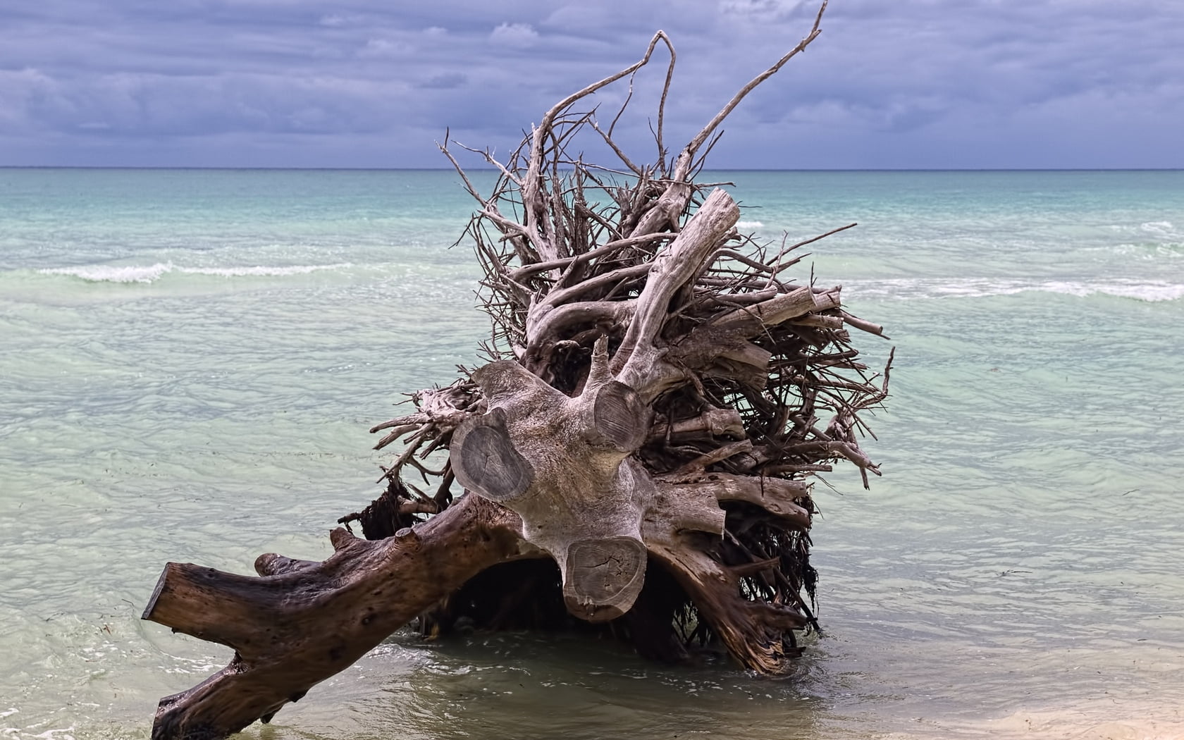 scenics - nature, dead plant, sky, nature, horizon over water, land, seascape, fence, scenics, travel, garden, tropical Climate, day, summer, beauty In Nature, HD Wallpaper