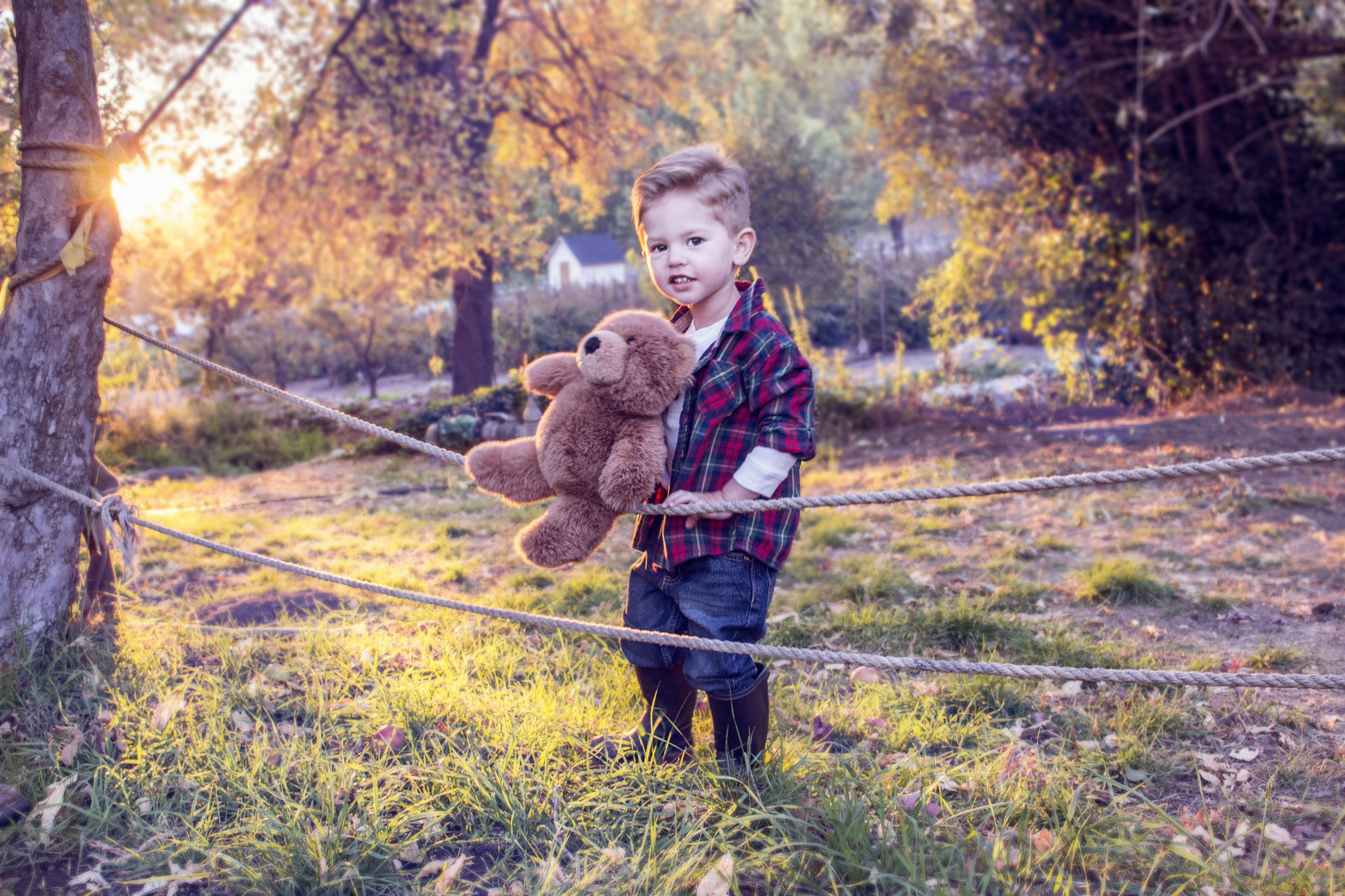 boys, fun, bear, 5K, boy, domestic animals, toy, teddy bear, caucasian Ethnicity, child, warm clothing, playing, real people, kid, animal themes, plant, HD Wallpaper