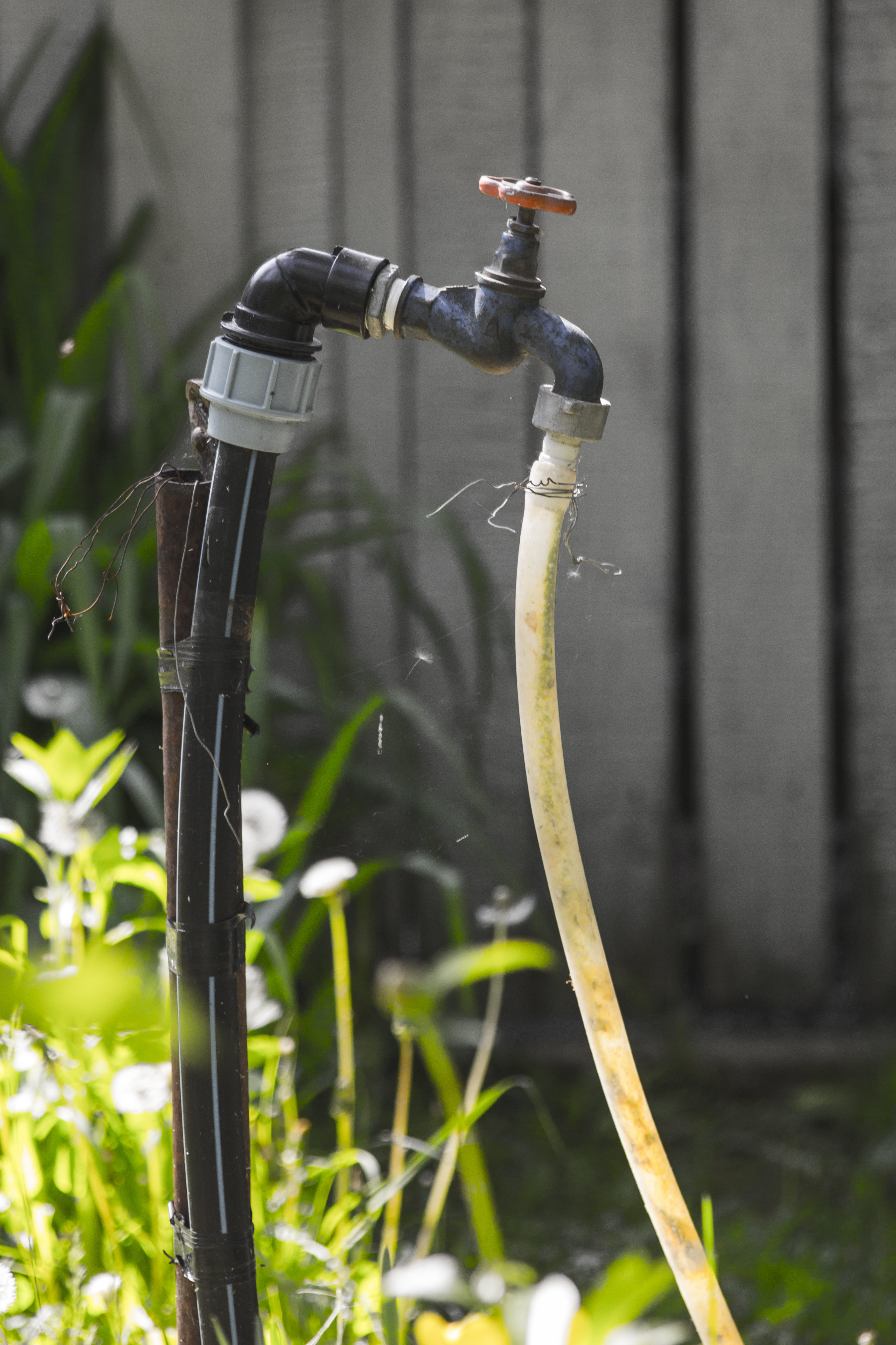 wooden fence, pipe - tube, summer, garden, garden hose, black, outdoors, attached, valve, no people, grass, growth, industry, close-up, day, hose, technology, Phone HD Wallpaper