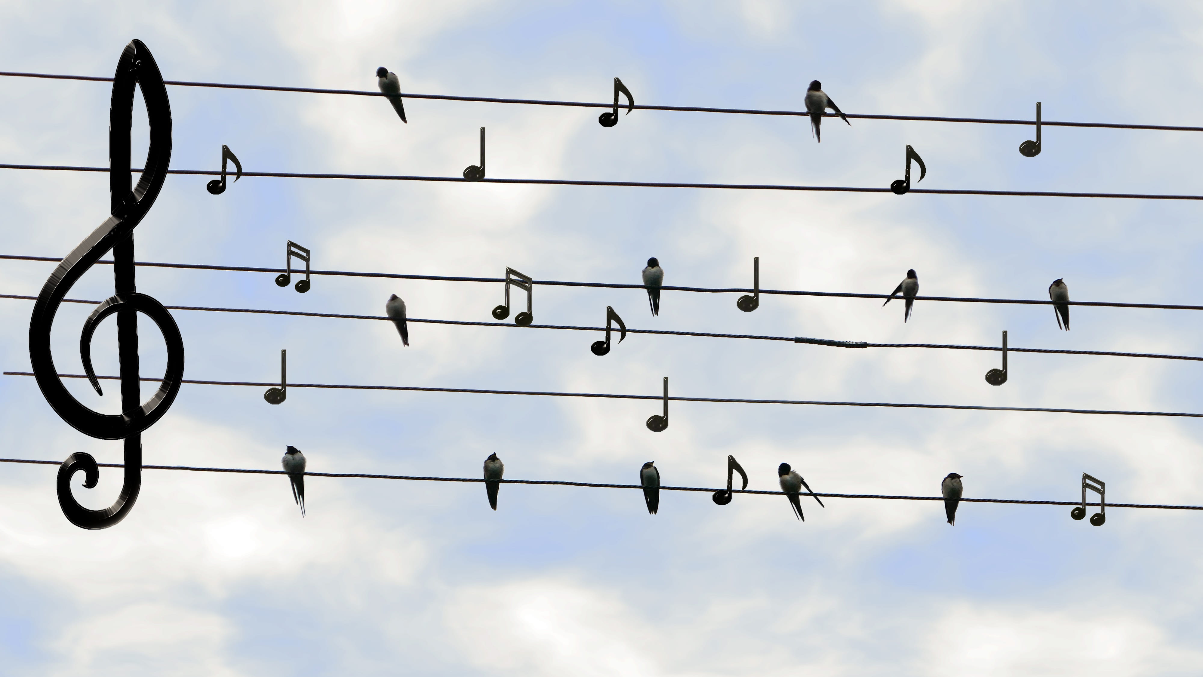 connection, sky, large group of animals, outdoors, singing, concert, notes, animals in the wild, music, flock of birds, group of animals, telephone line, HD Wallpaper