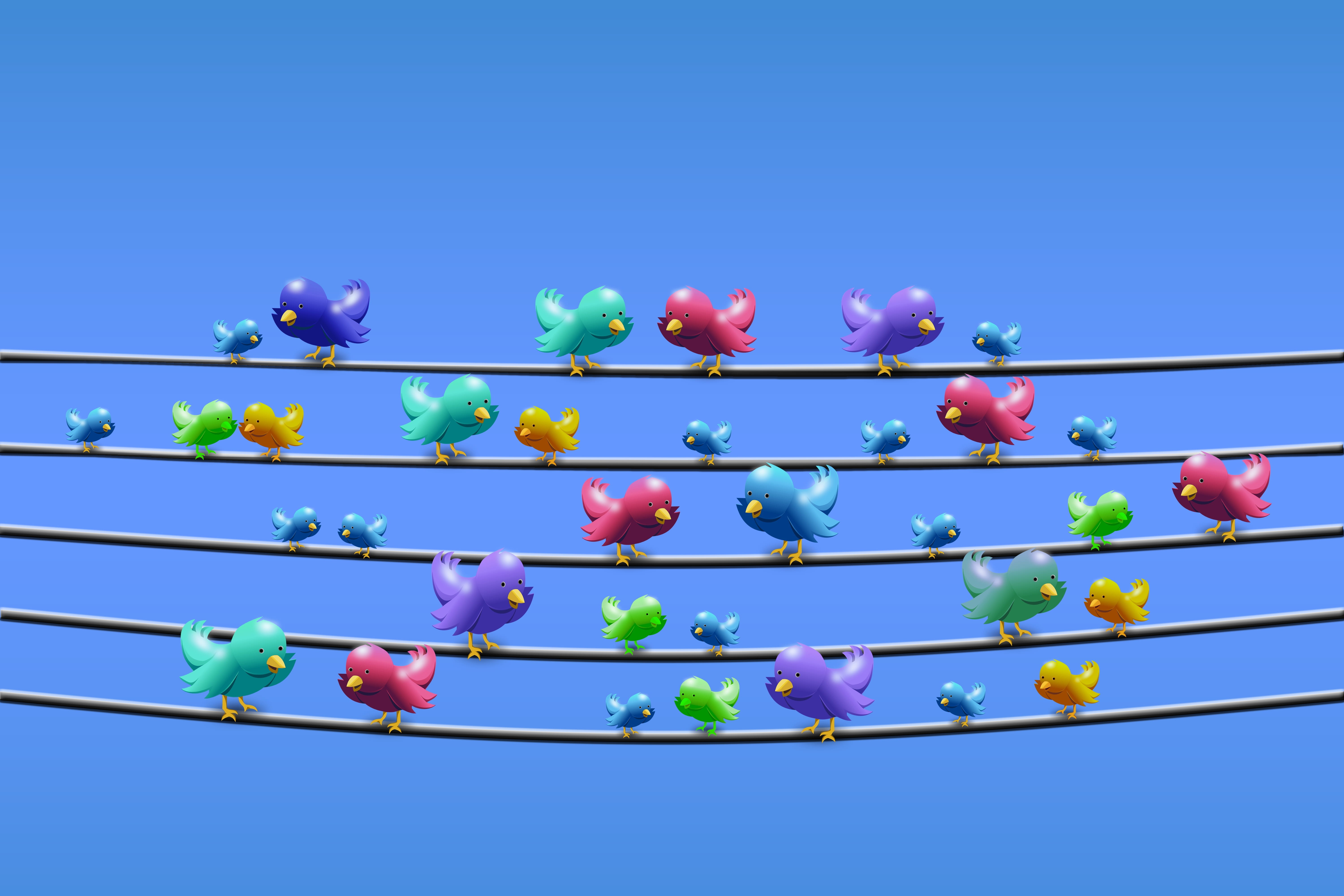5K, bird, black, outdoors, news, blue, blue background, tweet, large group of objects, line, wire, day, nature, springtime, offspring, flock, power line, HD Wallpaper