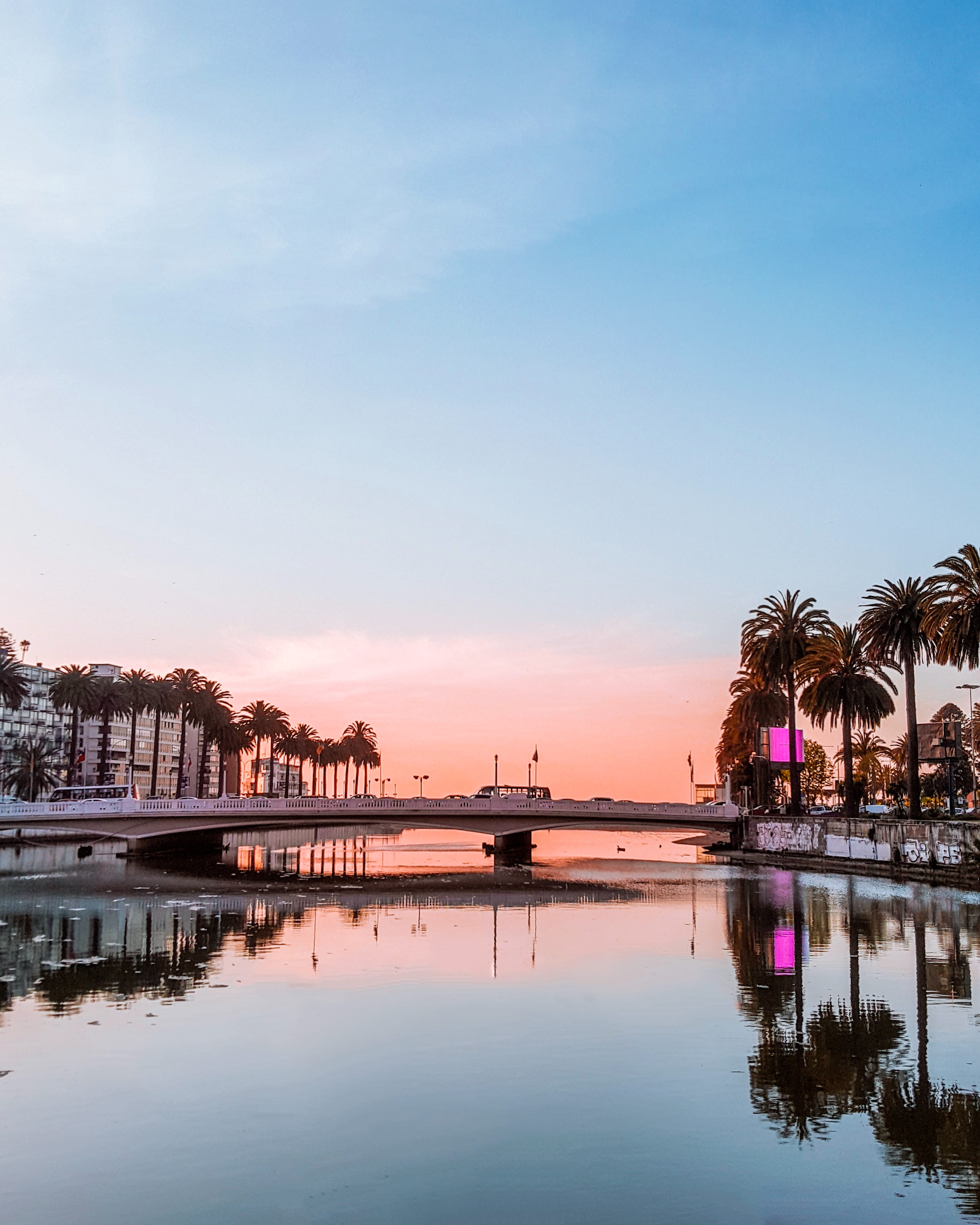 architecture, plant, waterfront, dock, port, built structure, arecaceae, sunset, viñadelmar, building exterior, viña de mar, 2K, reflection, tree, viña del mar, Phone HD Wallpaper