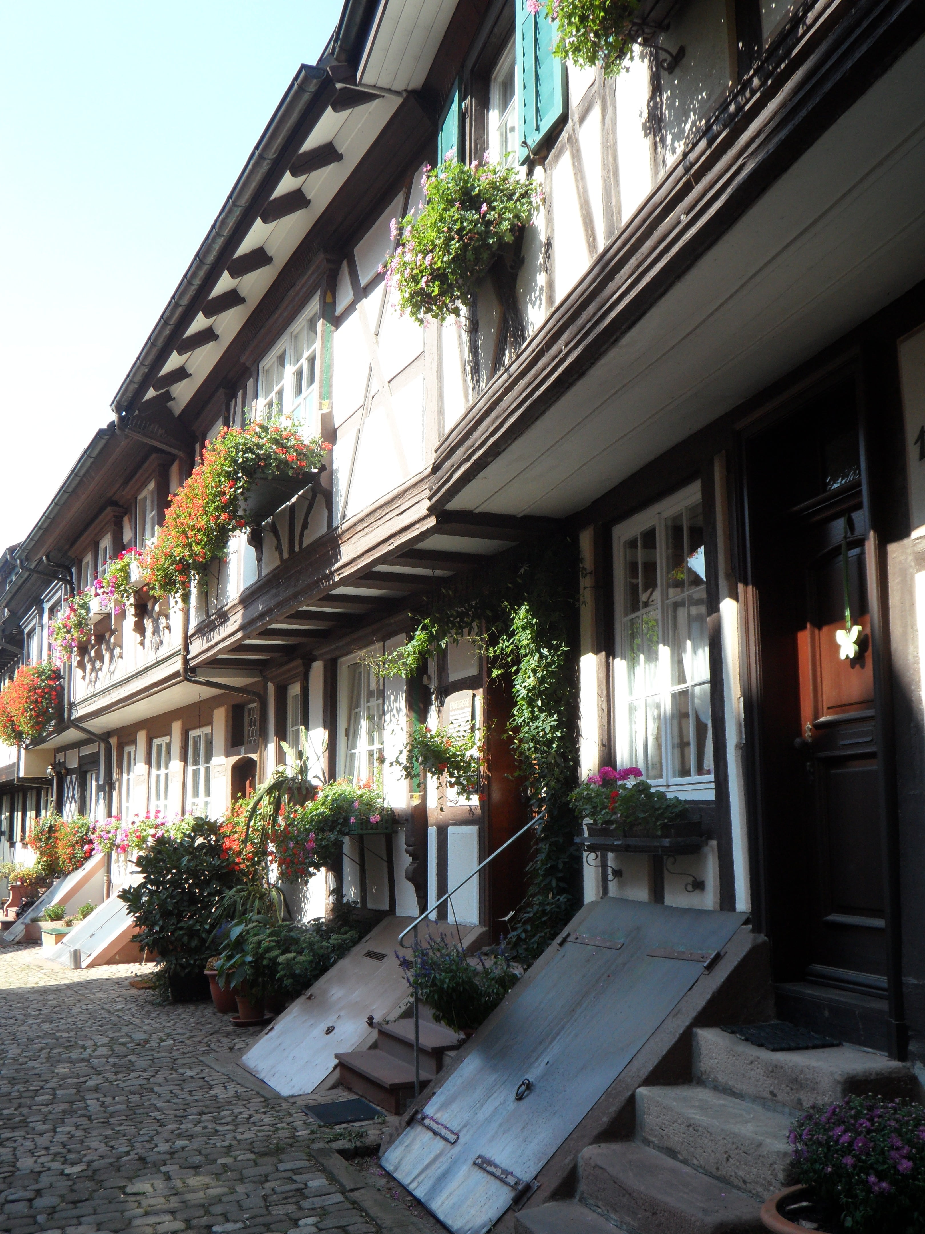 old town, tree, historically, flower, day, flowering plant, city, courtyard, facades, potted plant, houseplant, flower pot, homes, baden, truss, angel lane, Phone HD Wallpaper