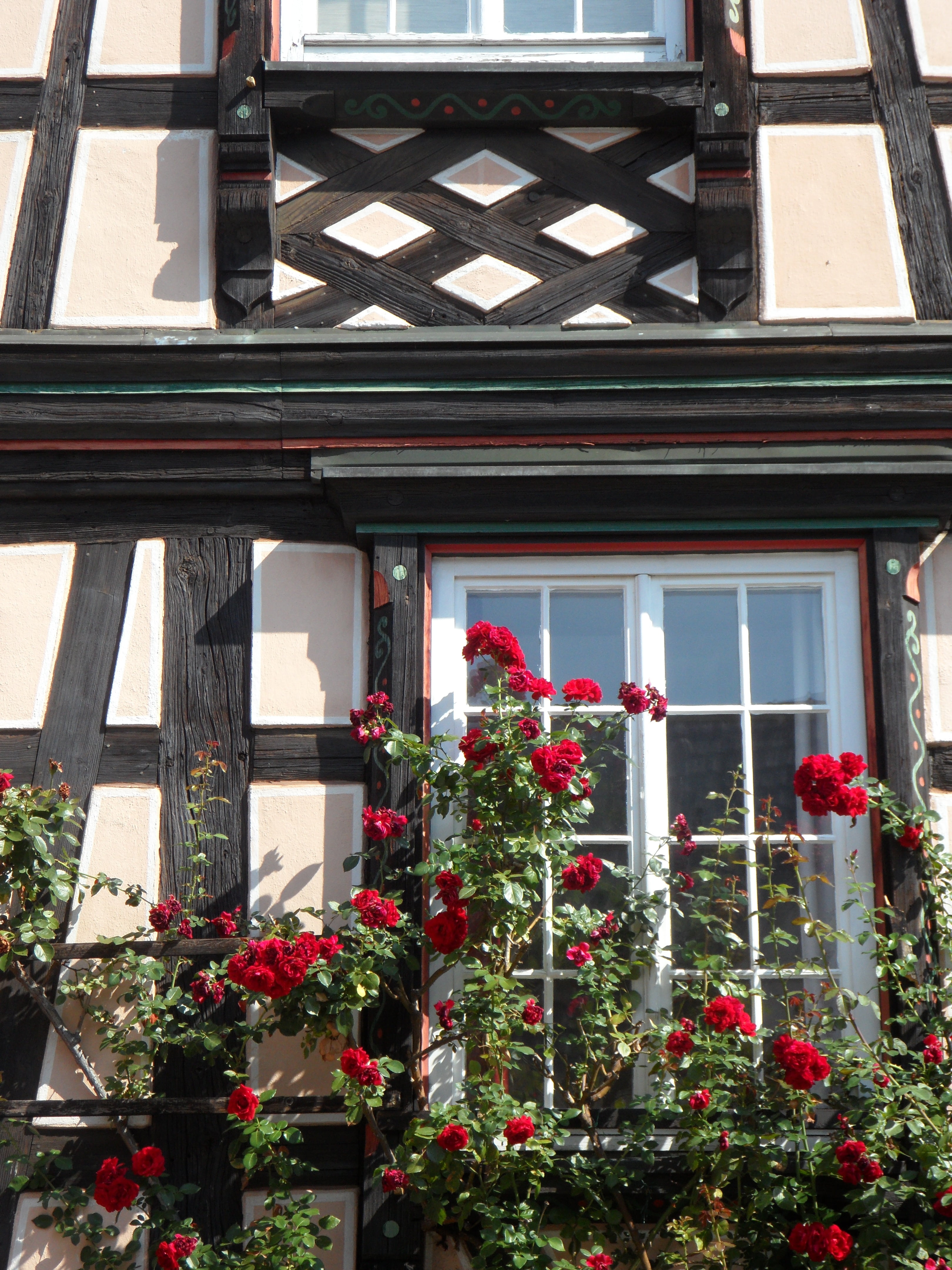 window, building exterior, built structure, freshness, home, red, truss, wall, flowering plant, nature, old town, growth, city, building, residential district, Phone HD Wallpaper
