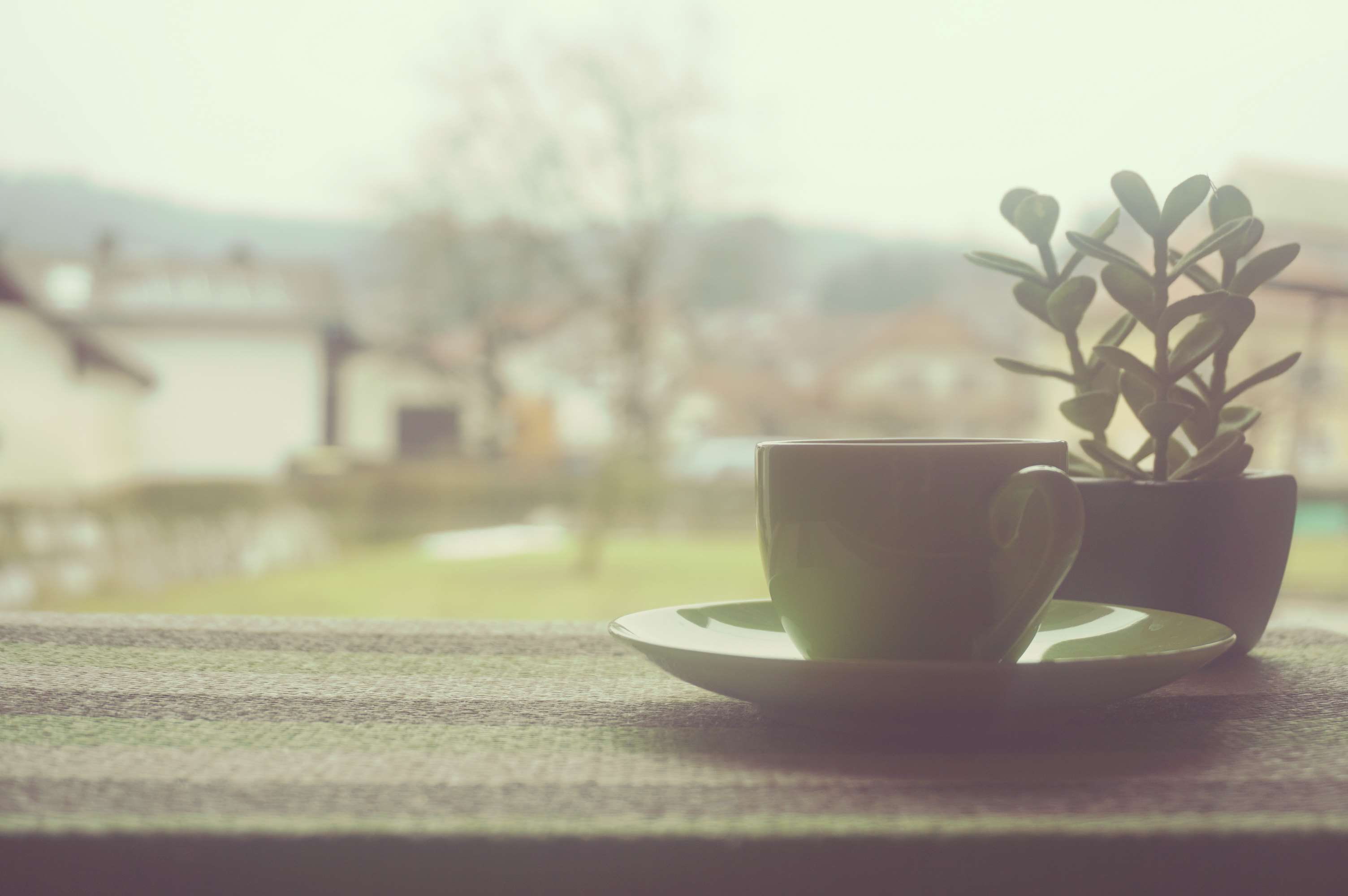 workplace, no people, day, close-up, table, window, saucer, lance, 2K, notebook, home office, workspa, lifestyle, selective focus, work from home, morning, HD Wallpaper