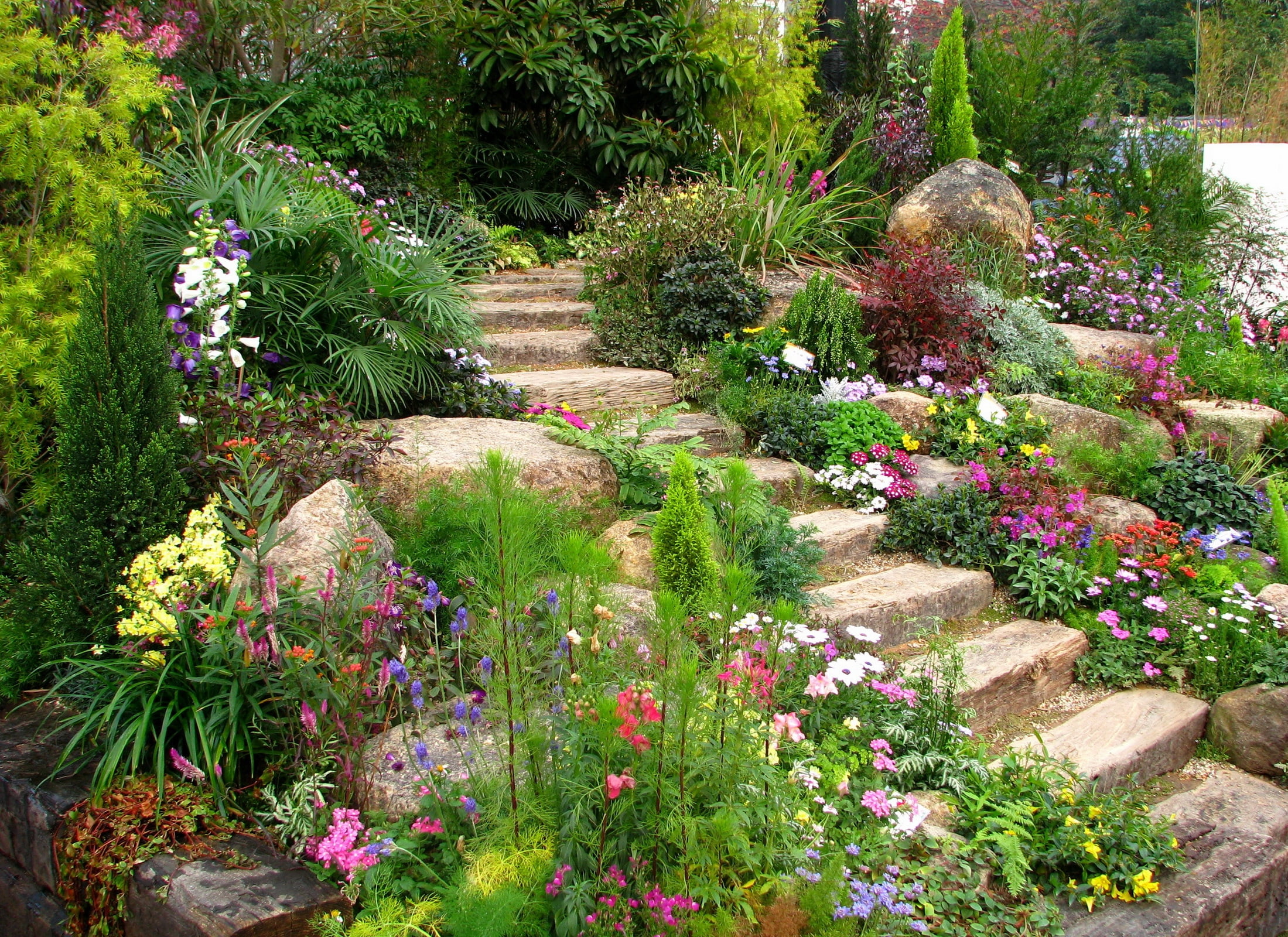 green Color, steps, summer, green, flower Head, tranquil scene, springtime, flower, footpath, flowers, plant, park - Man Made Space, outdoors, landscaped, HD Wallpaper