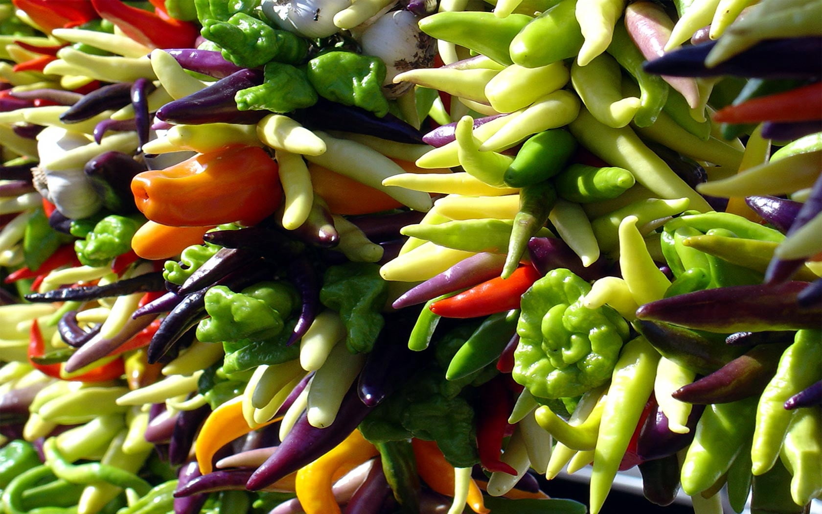 healthy Eating, large Group of Objects, group of Objects, choice, bean, close-up, colors, backgrounds, spice, pepper, allsorts, assorted, abundance, variety, HD Wallpaper