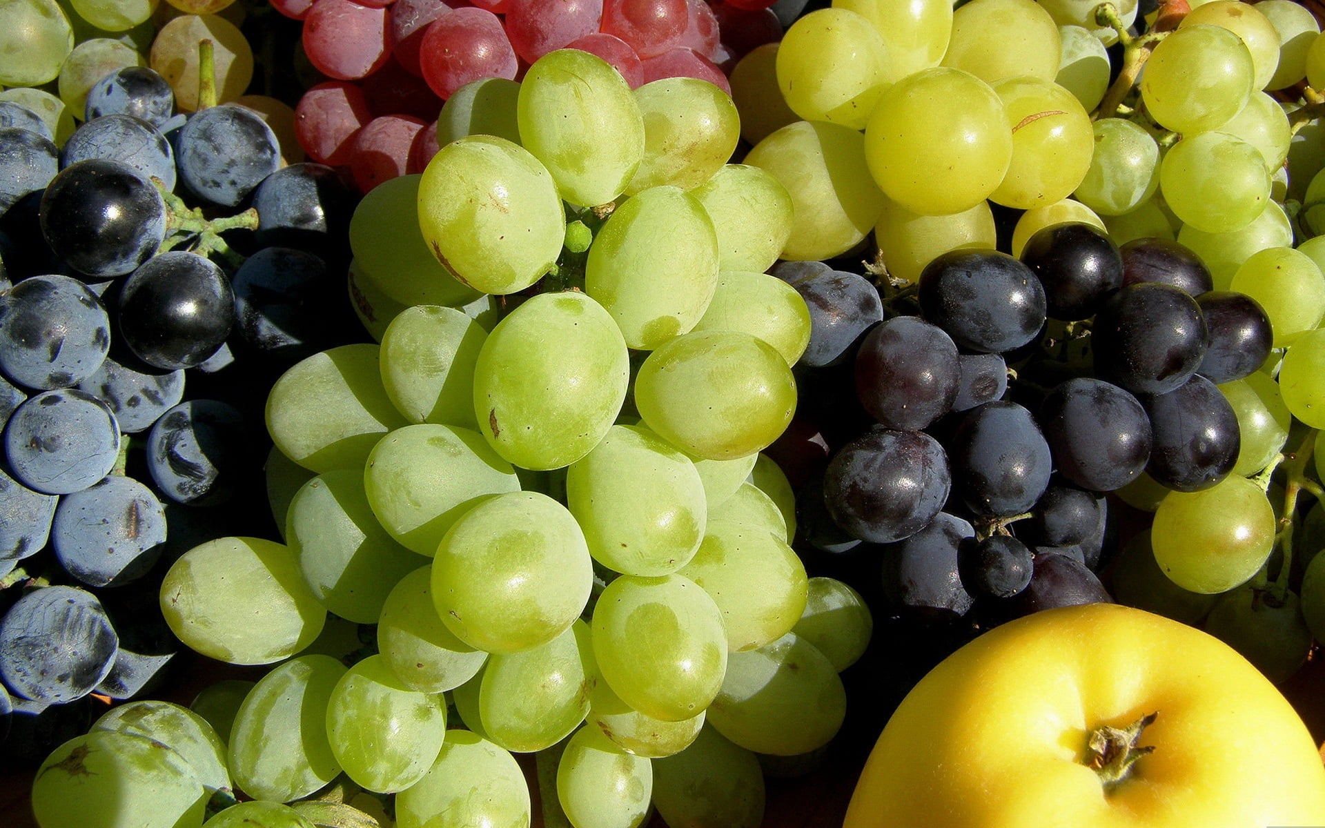 organic, agriculture, grape, colors, leaf, freshness, apple, dessert, bunch, food, choice, green Color, close-up, high angle view, berries, blue, allsorts, HD Wallpaper