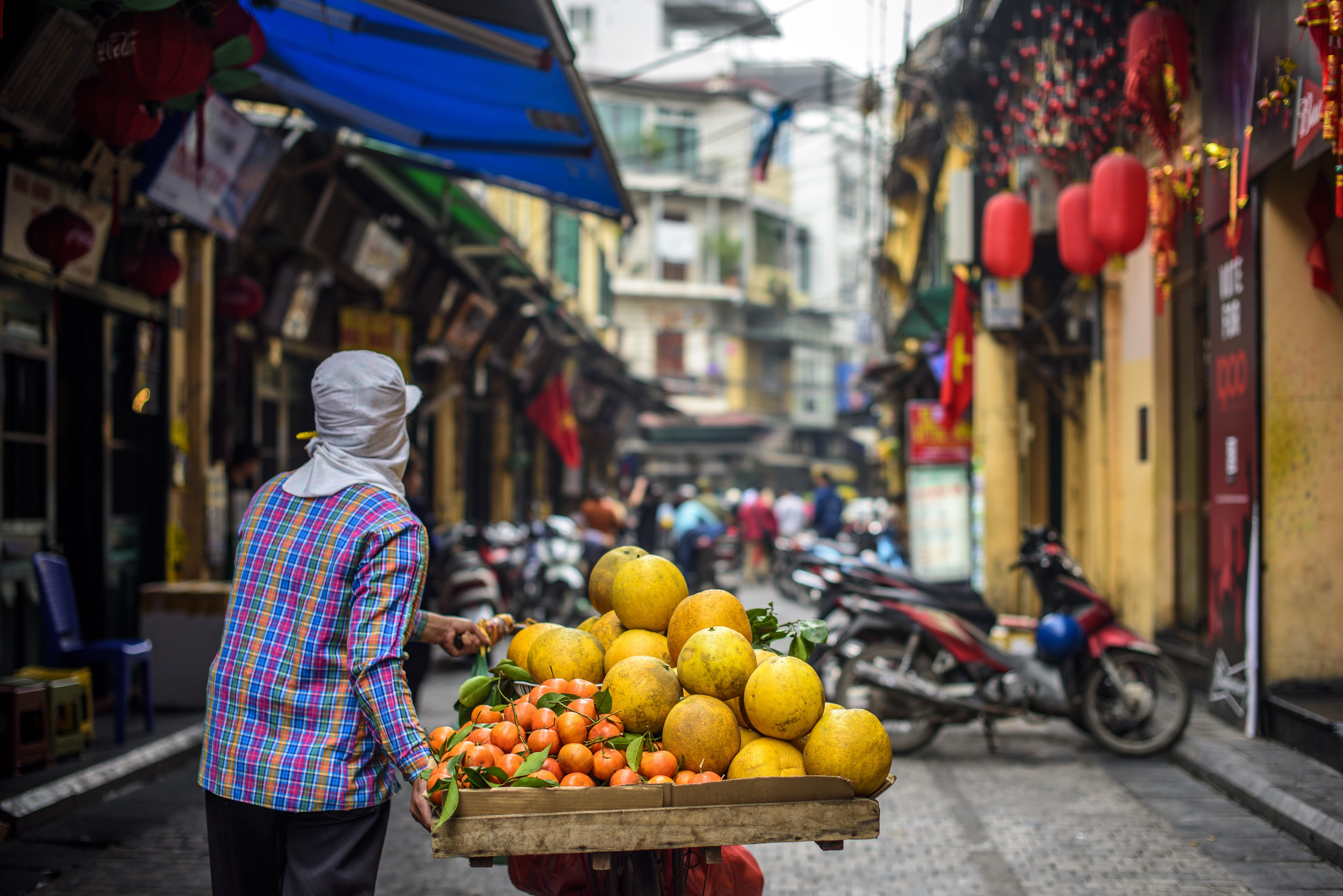 rear view, red leaf season in spring, hanoi, vietnam, healthy eating, retail, for sale, hanoi old quarter, grapefruit, retail display, red, incidental people, HD Wallpaper