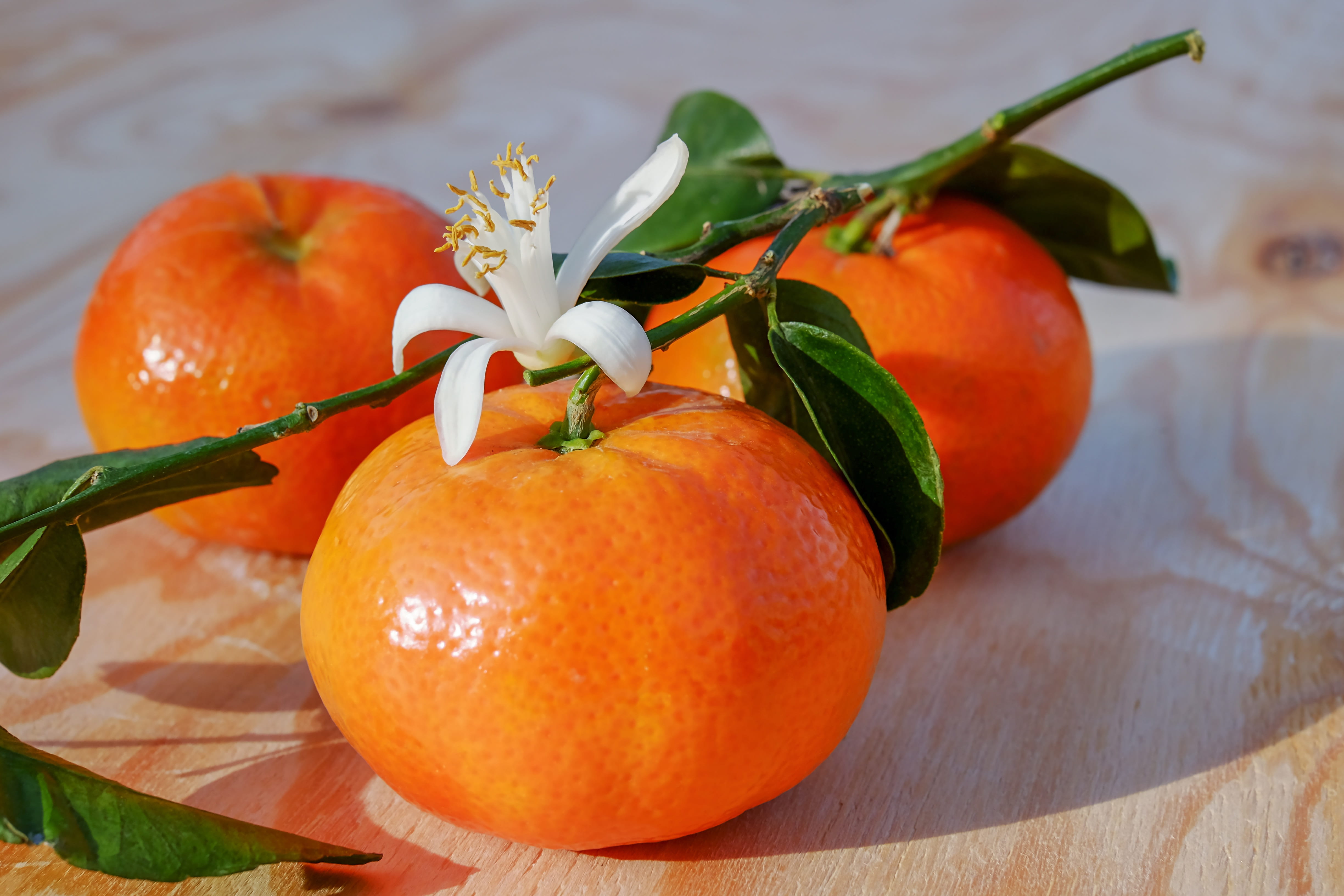 tangerines, delicious, wellbeing, orange - fruit, fruit, white, clementines, group of objects, orange color, bless you, freshness, tasty, fruits, vegetarian, HD Wallpaper