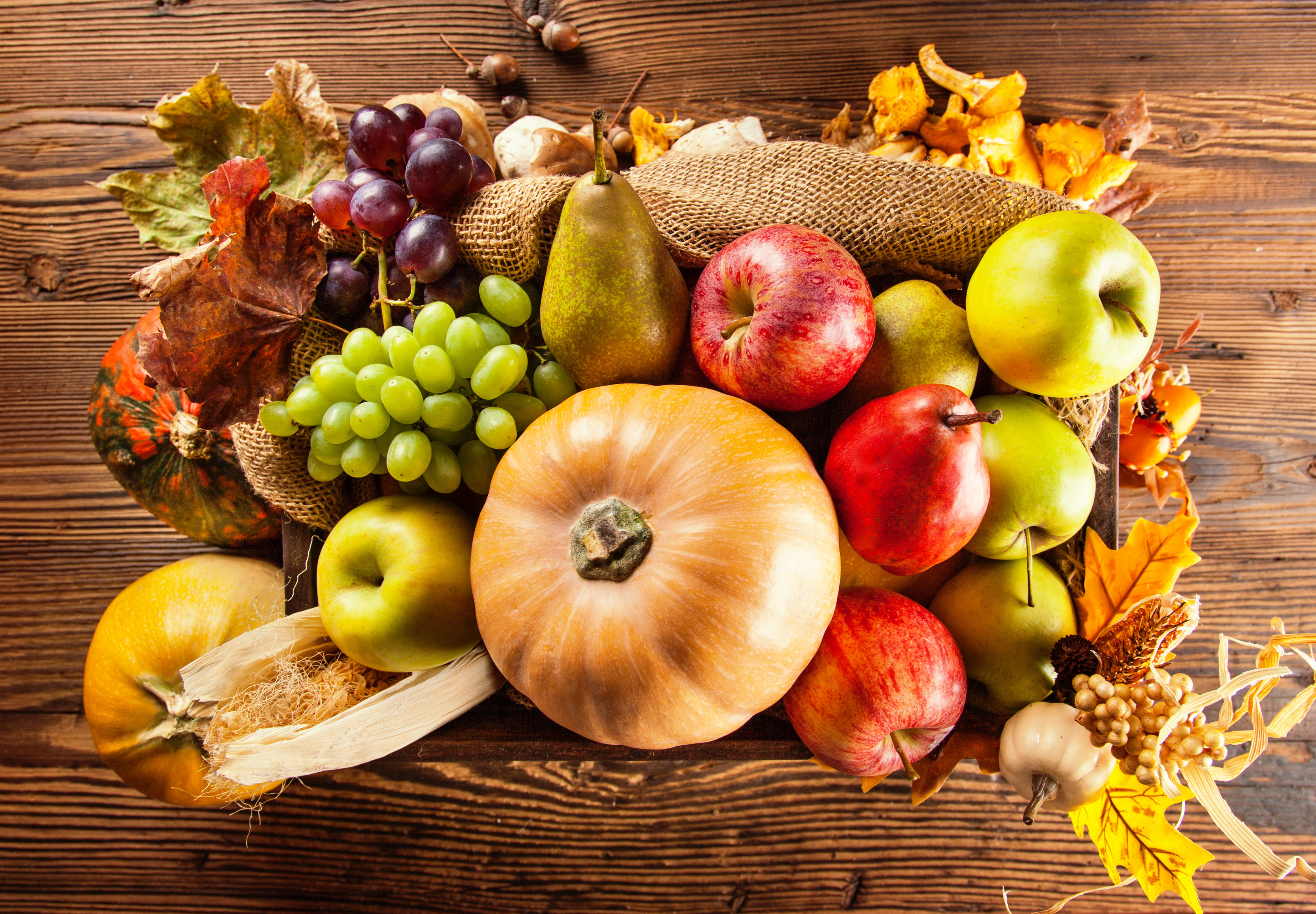 4K, pumpkin, grapes, vegetables, apples, fruit, harvest, pear, autumn, HD Wallpaper
