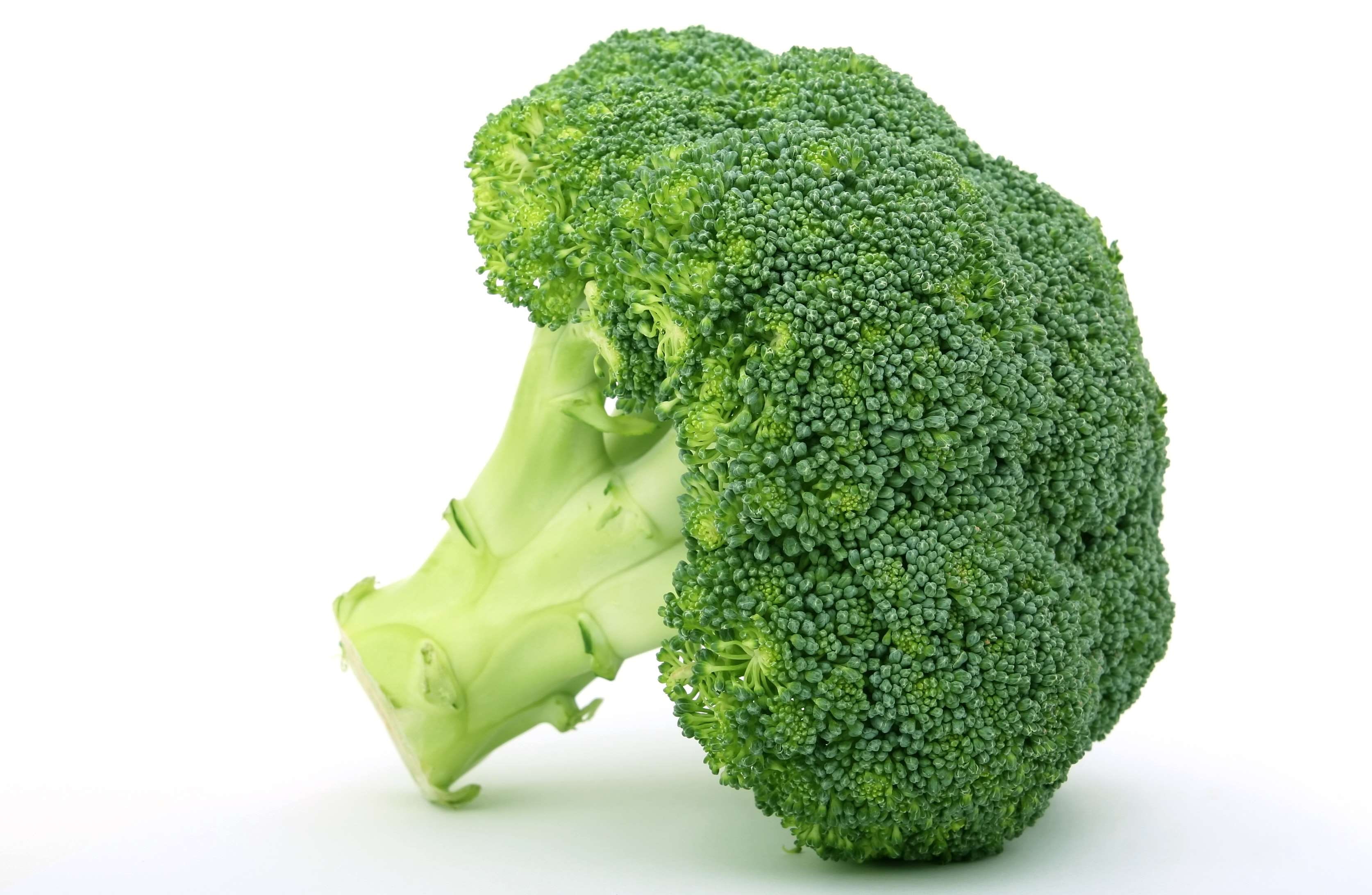 broccoli, groceries, vegetable, he, single object, vegetarian food, cut out, freshness, green color, diet, ingredient, 2K, green, cookery, appetite, fibre, HD Wallpaper
