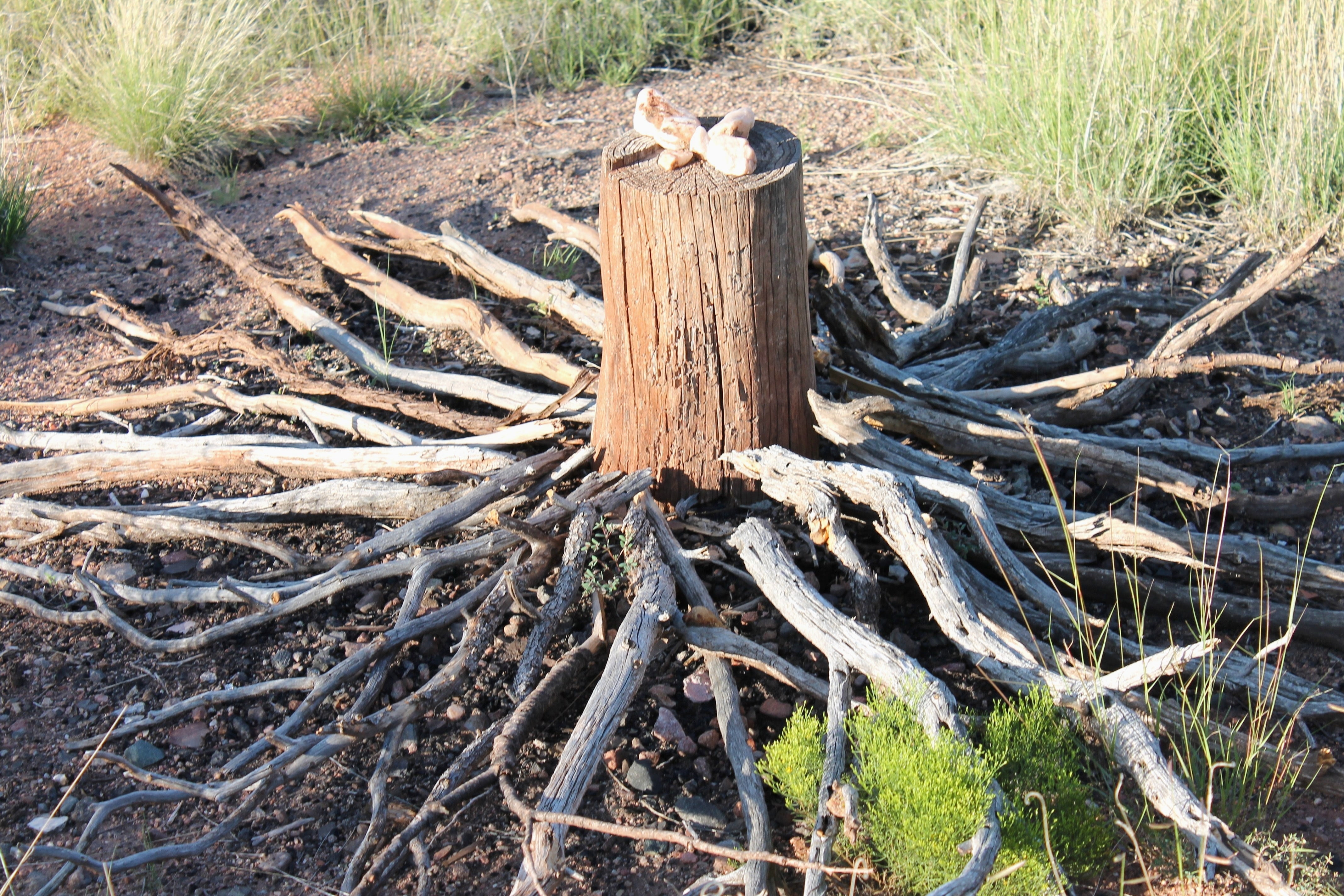 tranquility, wood - material, altar, ceremonial, environmental issues, driftwood, honoring environment, earth cleansing, land, forest, field, xeriscaping, HD Wallpaper