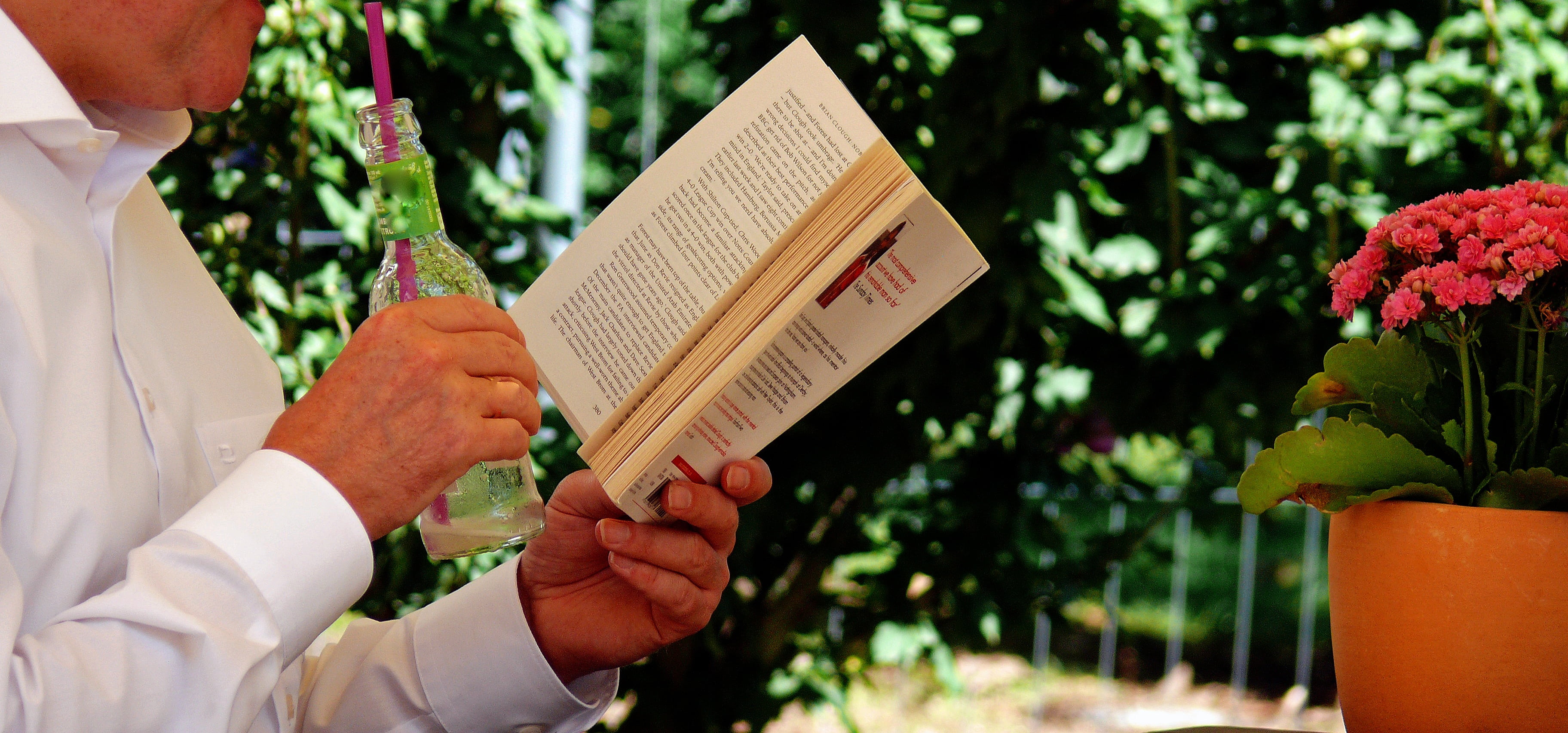 comparable, reproduction, flowering plant, one person, human body part, version, compaction, printing, parallel, book, holding, edition of a book, man, HD Wallpaper