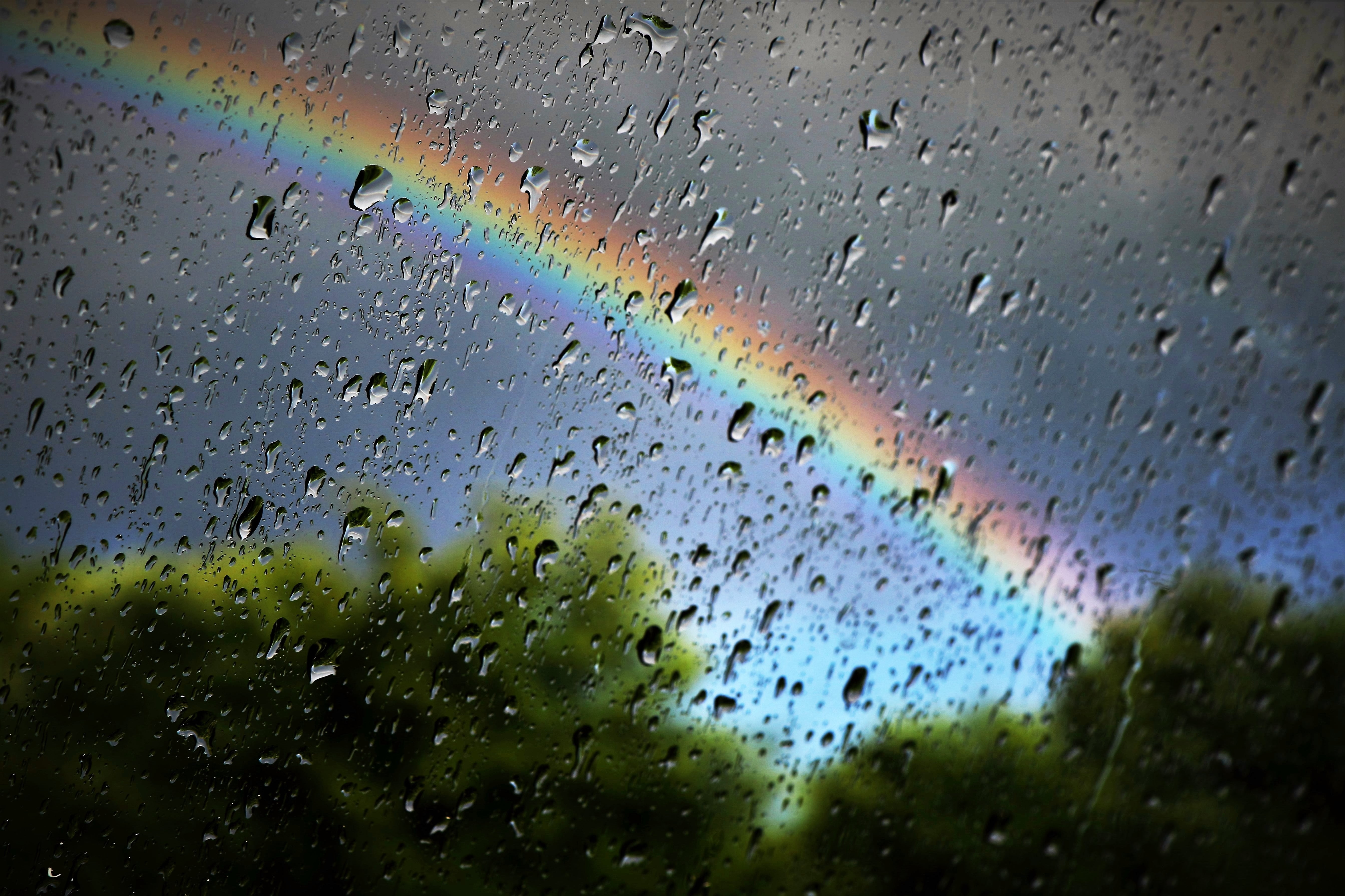drop, close-up, window, wet, water, no people, glass, waterproof, monsoon, indoors, panel, outdoor, season, colourful, transparent, drops, rain, nature, HD Wallpaper