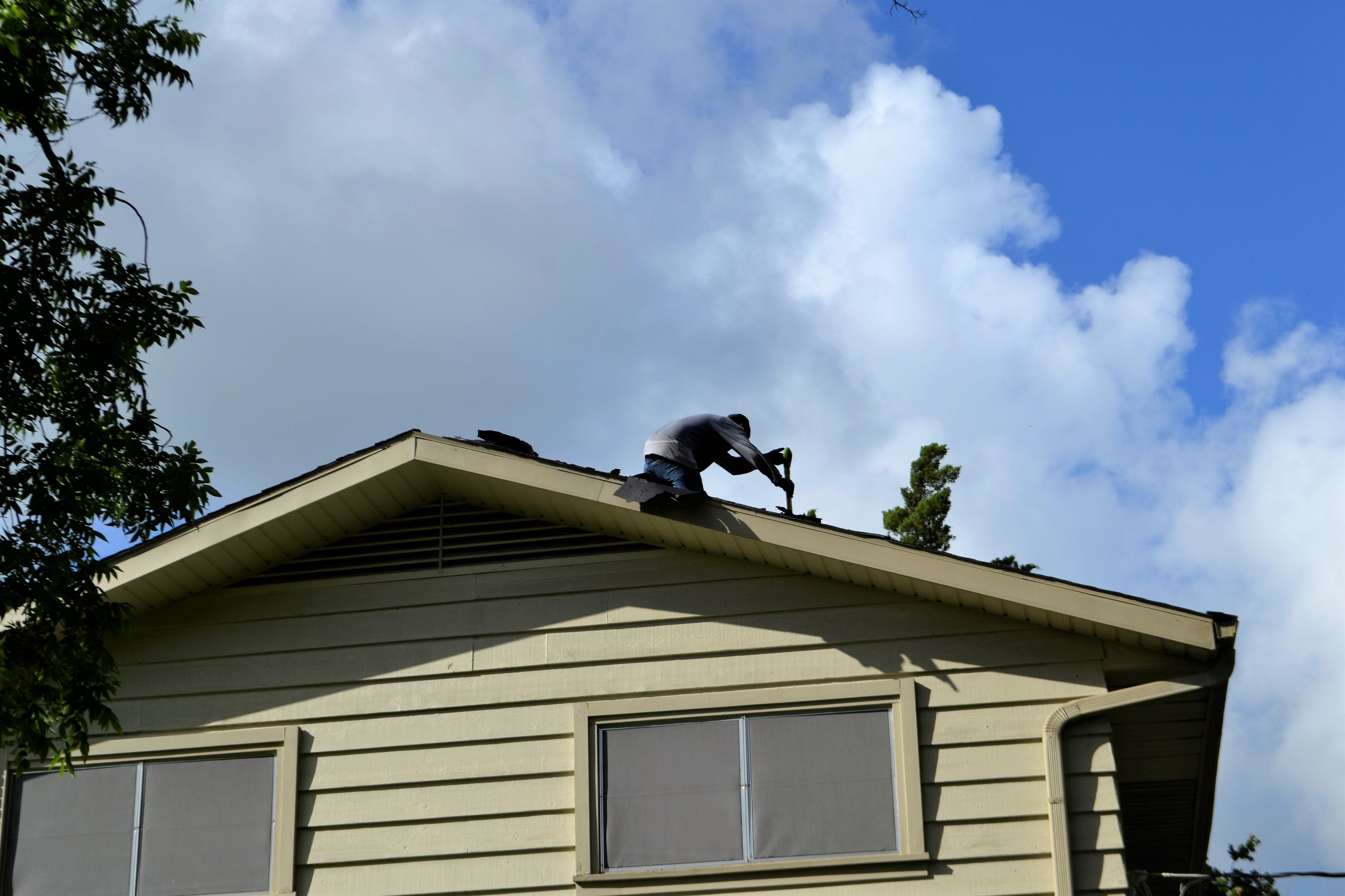 building, built structure, cloud - sky, roofing, improvement, panel, outdoor, tree, one animal, vertebrate, hurricane harvey, roof, contractor, sky, building exterior, HD Wallpaper