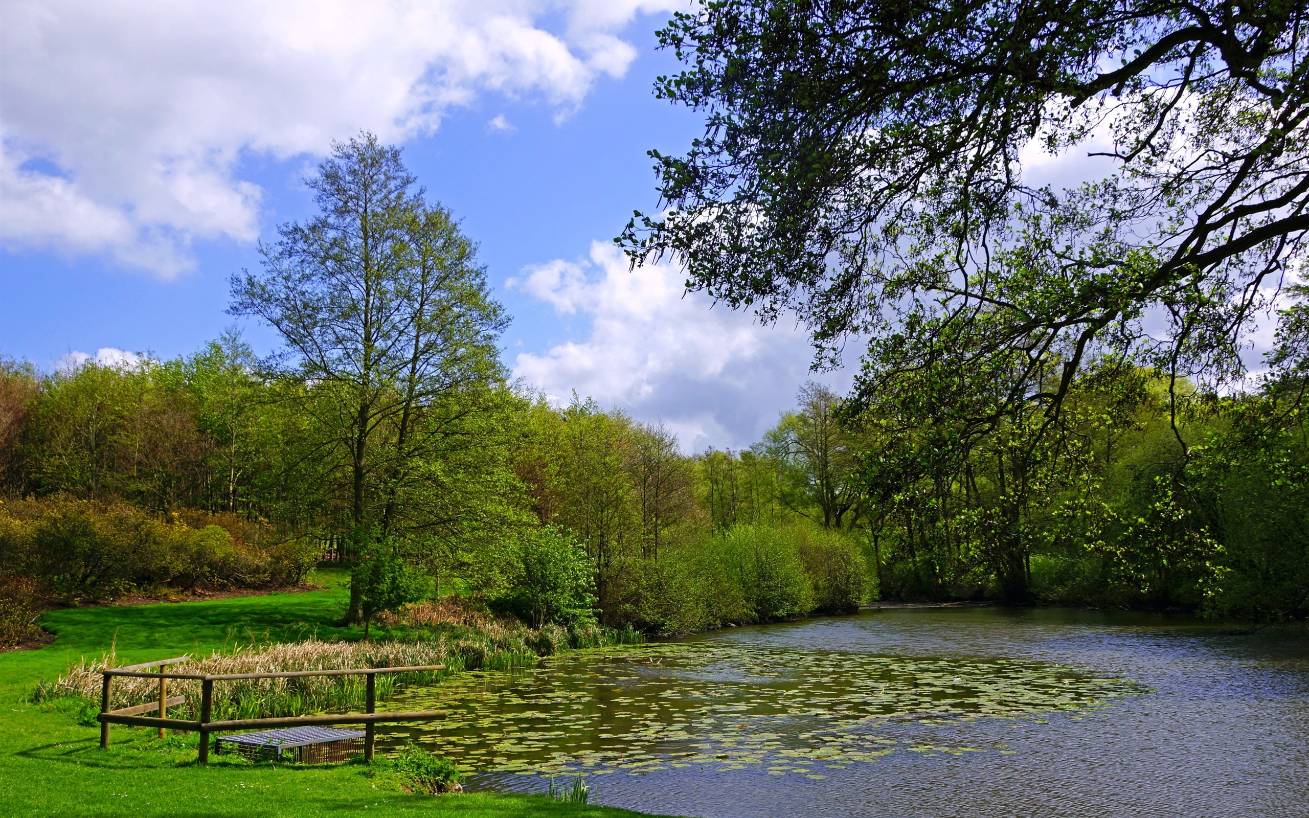 Bushes, leaved, Trees, brown, England, Castle, Pond, Grass, railings, 2K, Leeds, green, Garden, wooden, HD Wallpaper