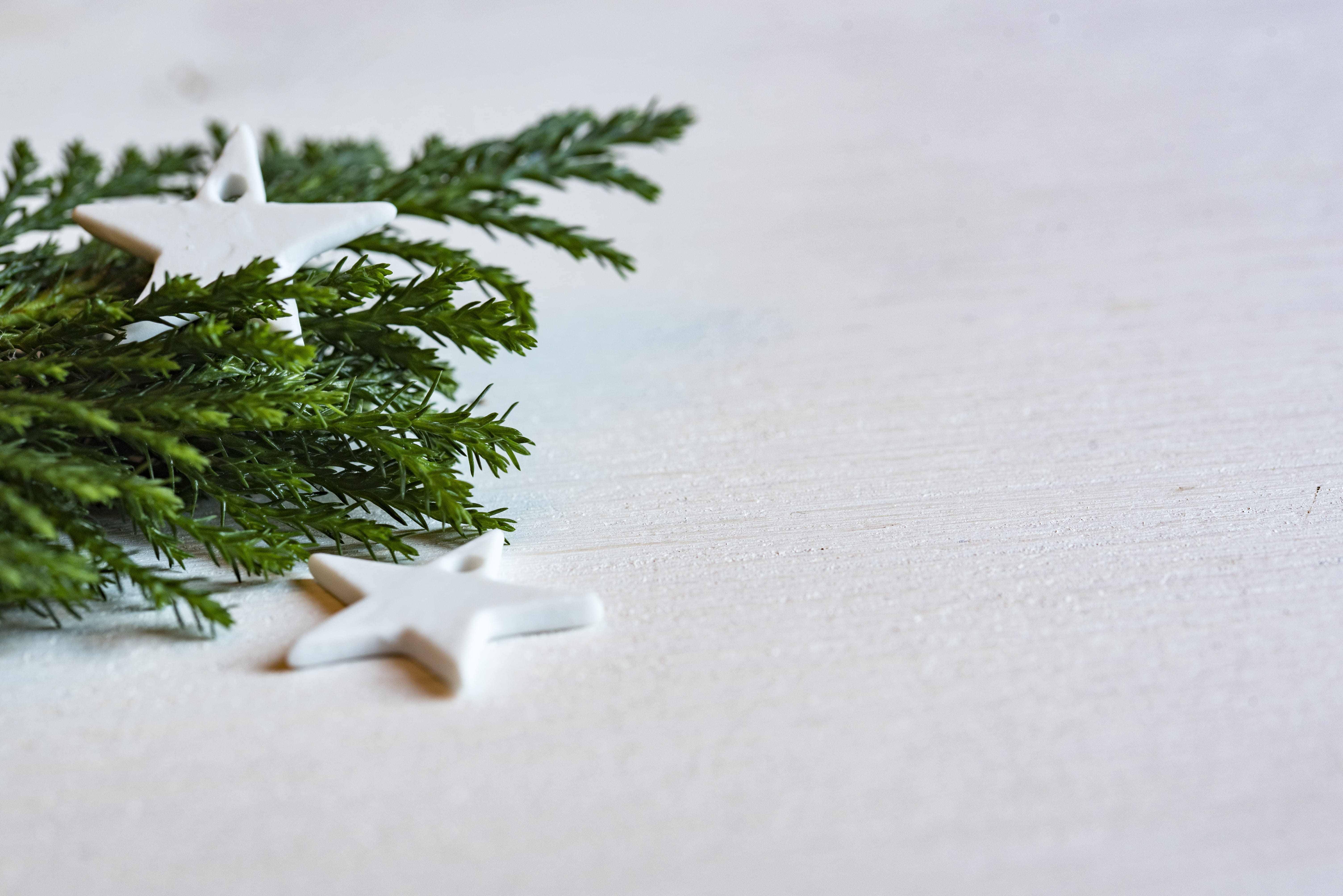 tree, icing, surface, indoors, studio shot, bird, leeds, green color, cake, selective focus, winter, green, fir tree, dessert, xmas, united kingdom, white, HD Wallpaper