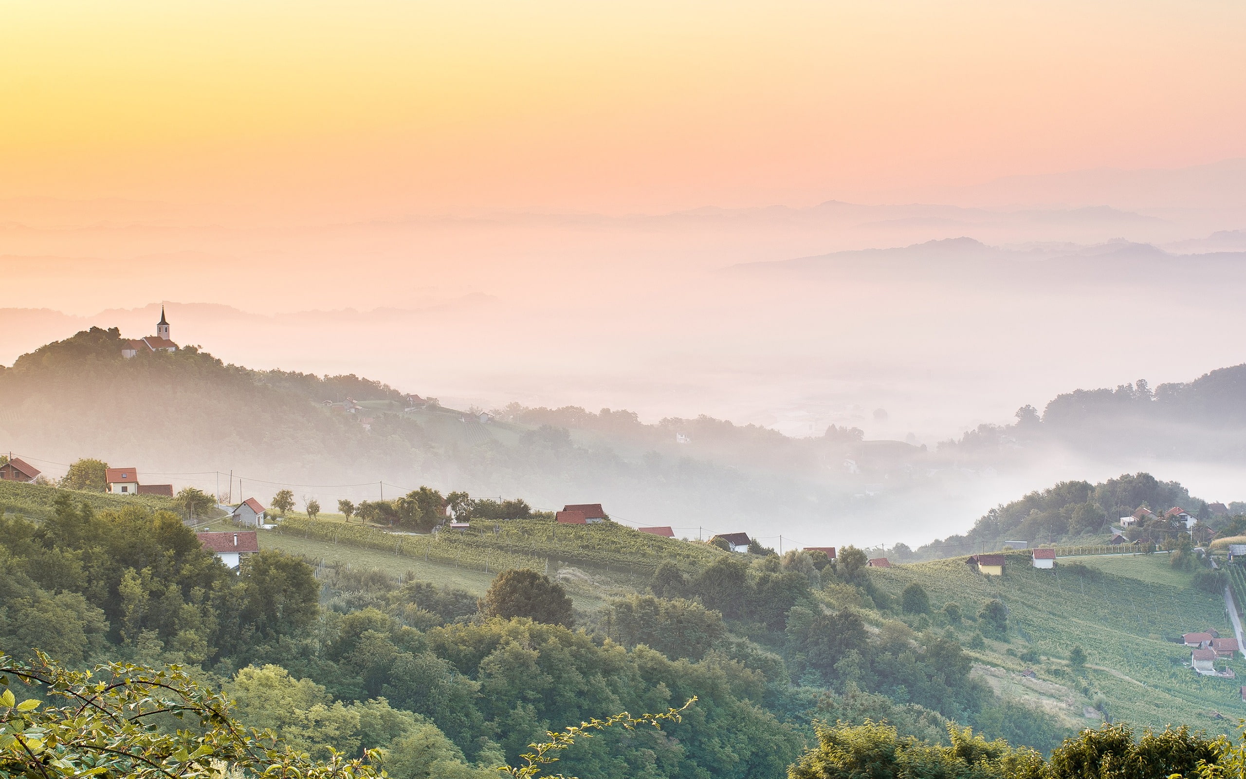 sunrise, environment, sky, plant, landscape, qualit, high, tea crop, tranquil scene, pregrada, croatia, outdoors, idyllic, no people, rural scene, nature, HD Wallpaper