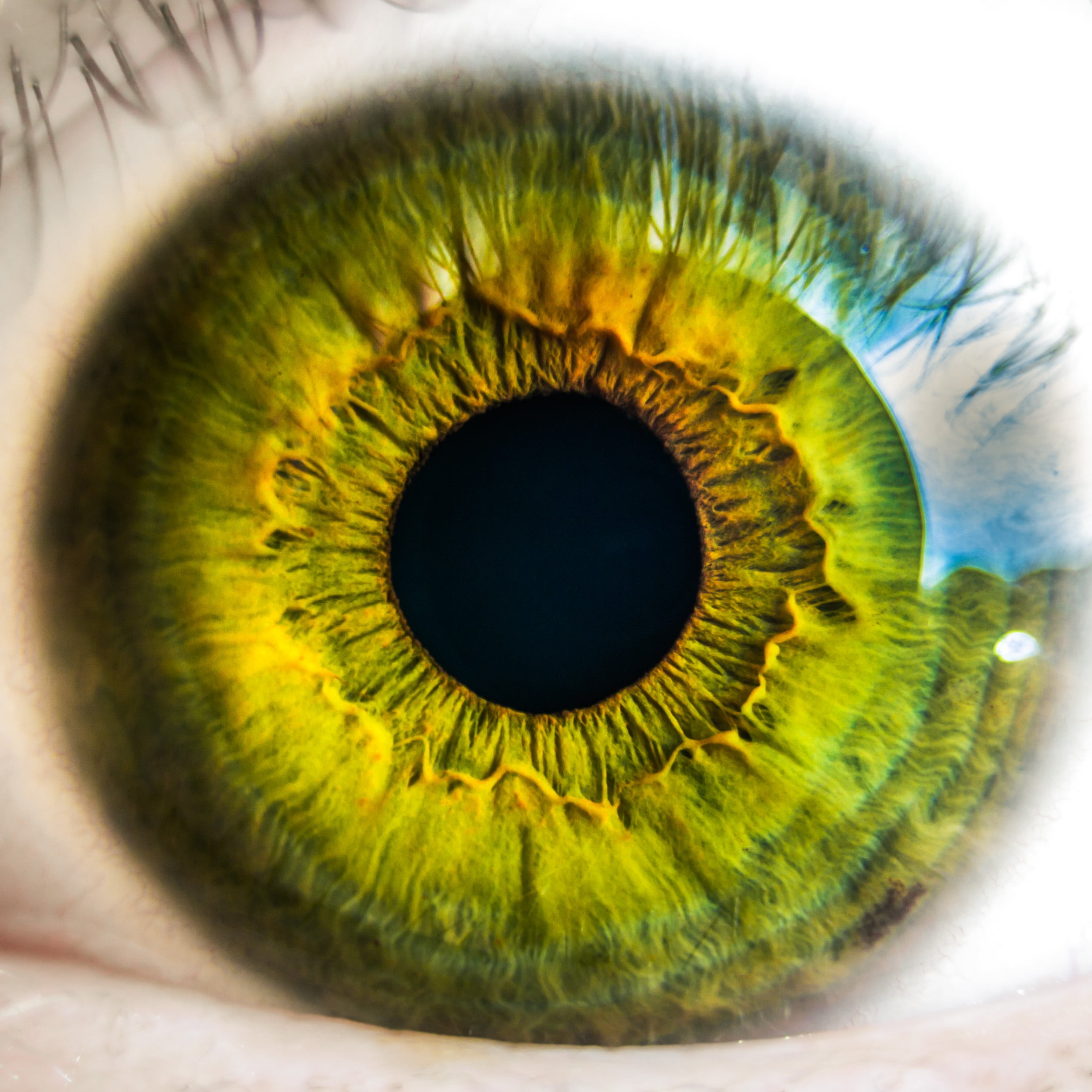 extreme close-up, iris - eye, eyeball, macro, vision, eye, retina, close-up, green color, green, one person, eyesight, human eye, natural pattern, sight, Phone HD Wallpaper