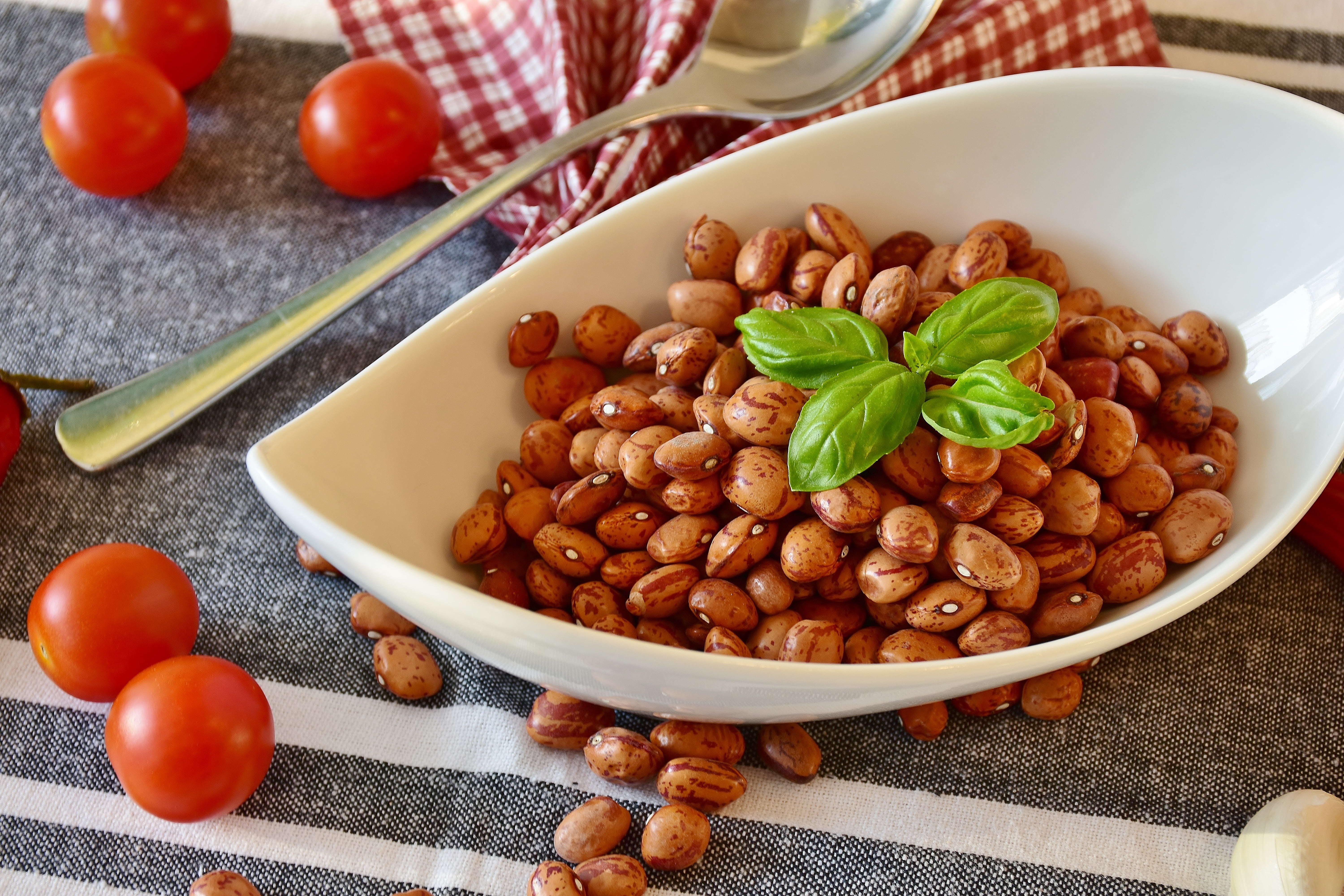 tomatoes, spoon, nut - food, preserved, eat, no people, vegetable, white, cook soup, dried, delicious, nutrition, legumes, kitchen utensil, plate, vegan, HD Wallpaper