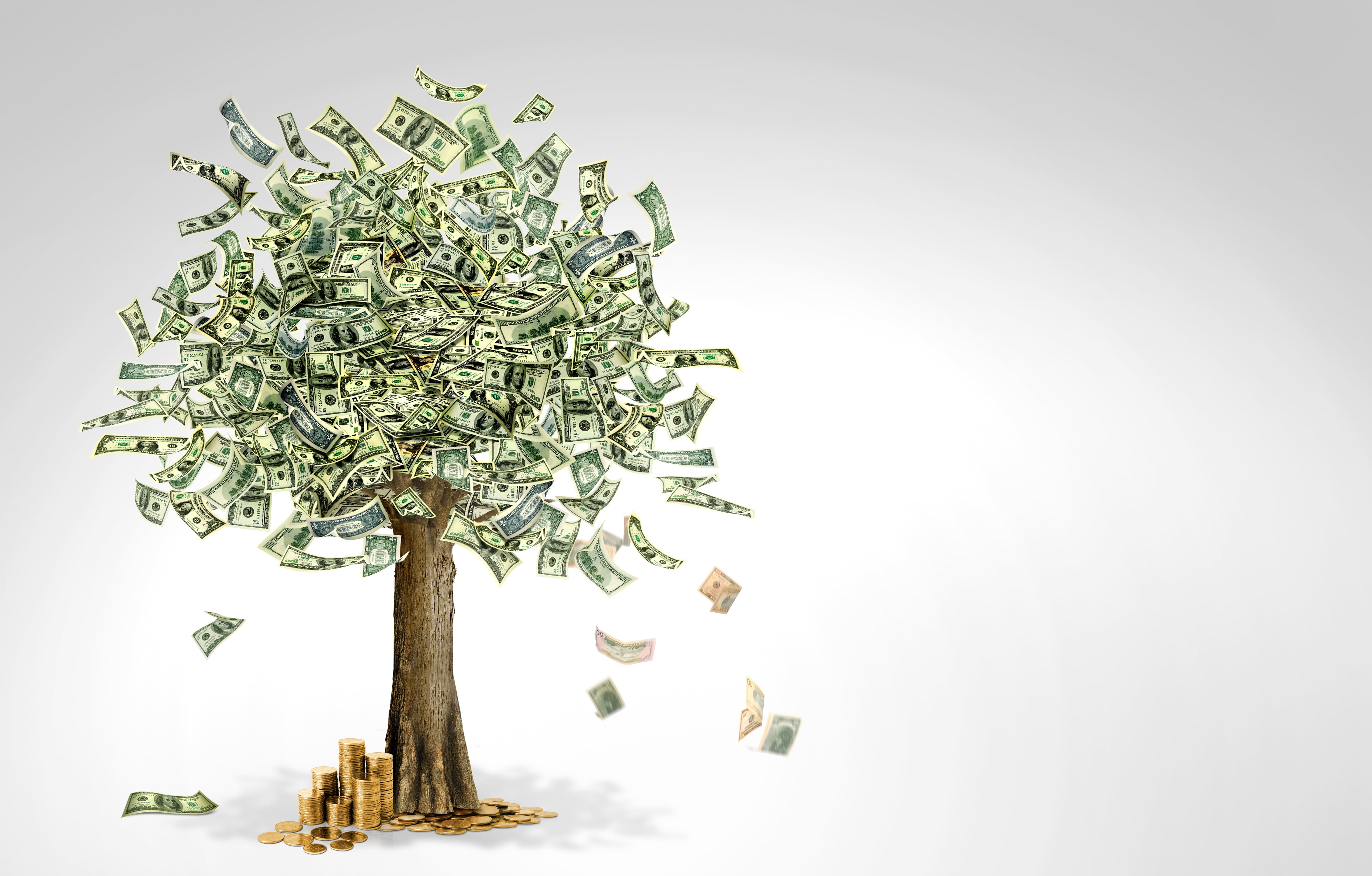 money, tree, currency, 4K, HD Wallpaper