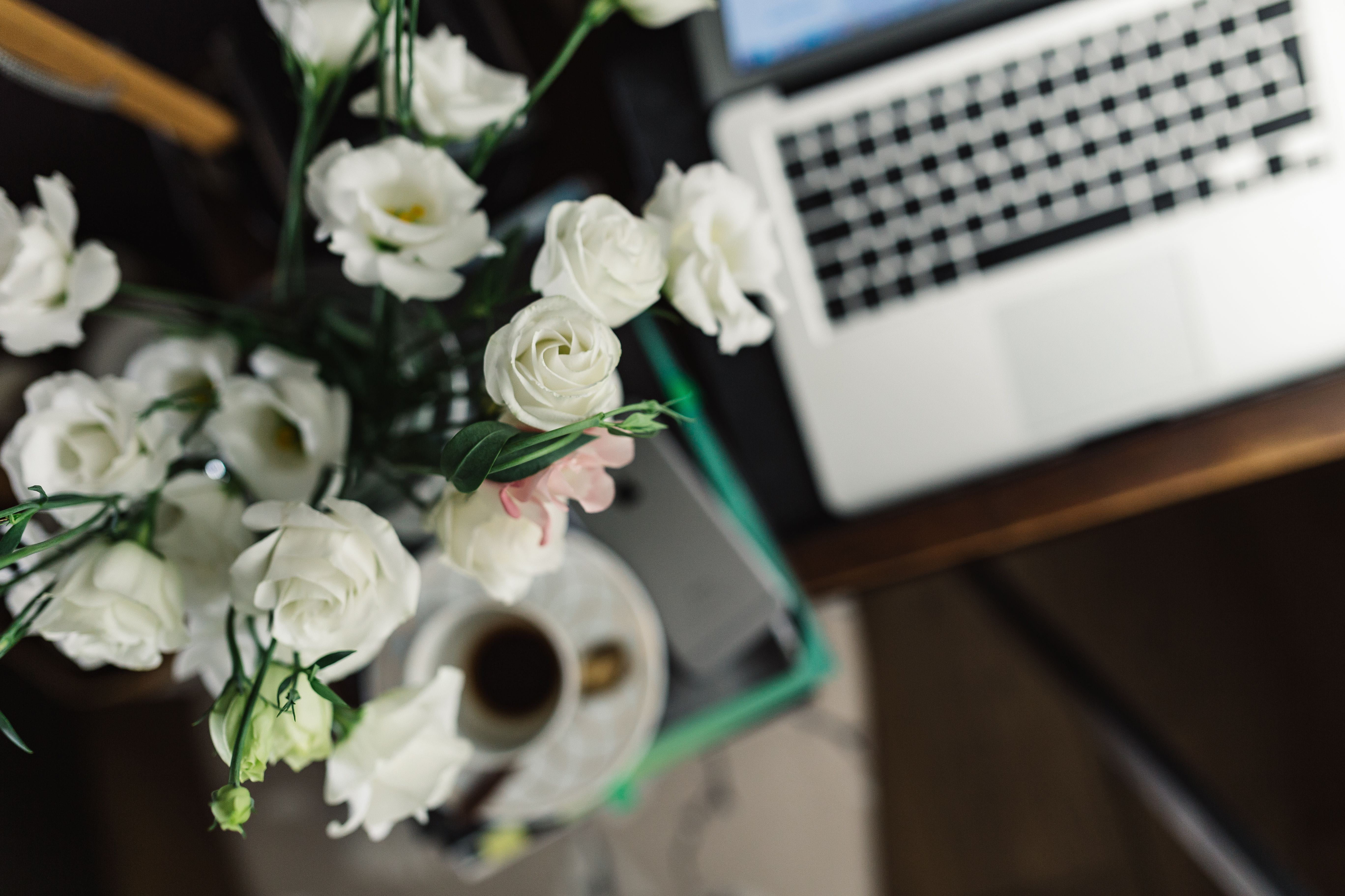 studio shot, close-up, vase, bouquet, nature, rose - flower, wedding, laptop, plant, beauty in nature, indoors, workspace, computer, flower head, glass, HD Wallpaper