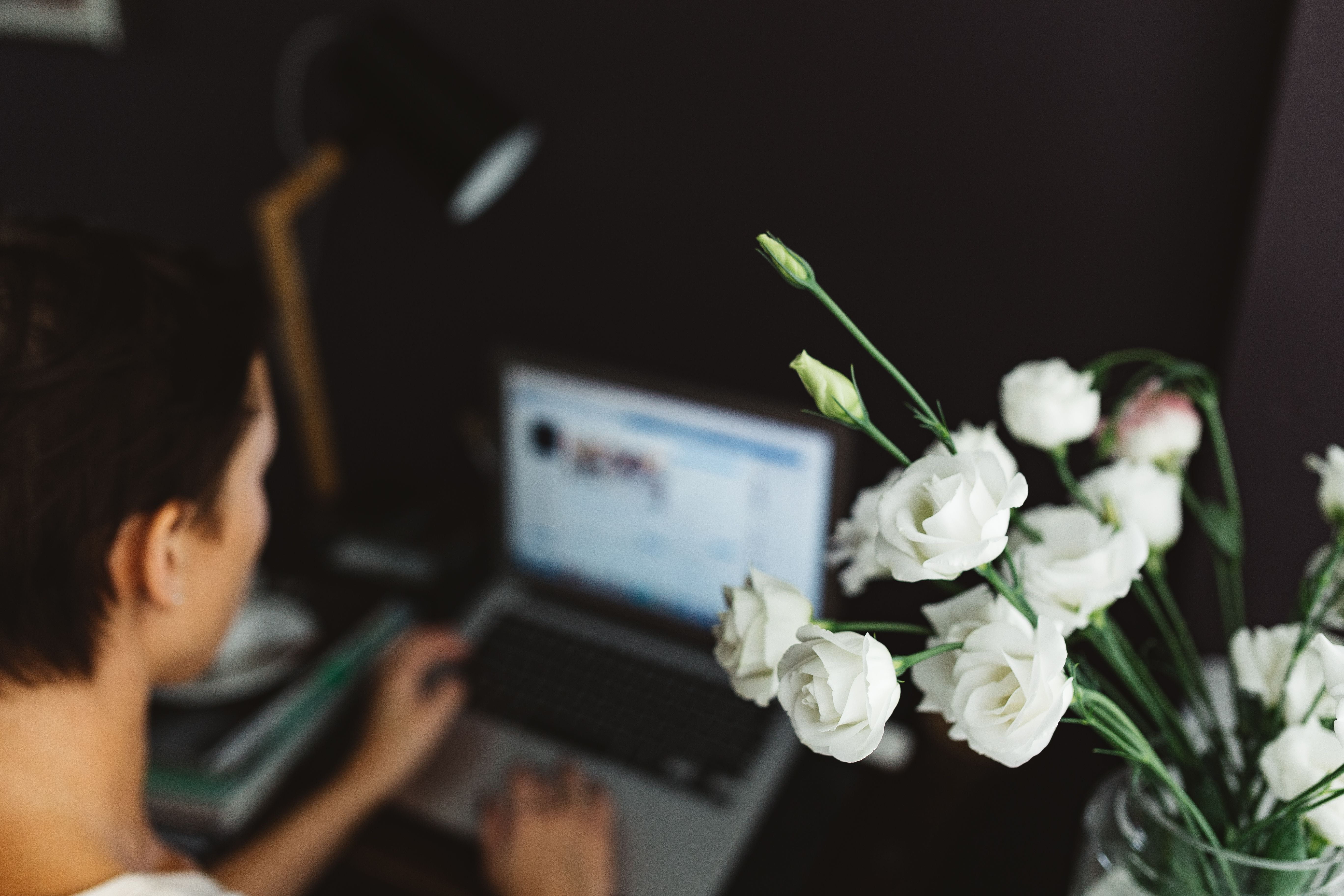 work, flowering plant, computer, table, one person, wireless technology, freshness, Woman, focus on foreground, business, desk, workspace, connection, portrait, HD Wallpaper