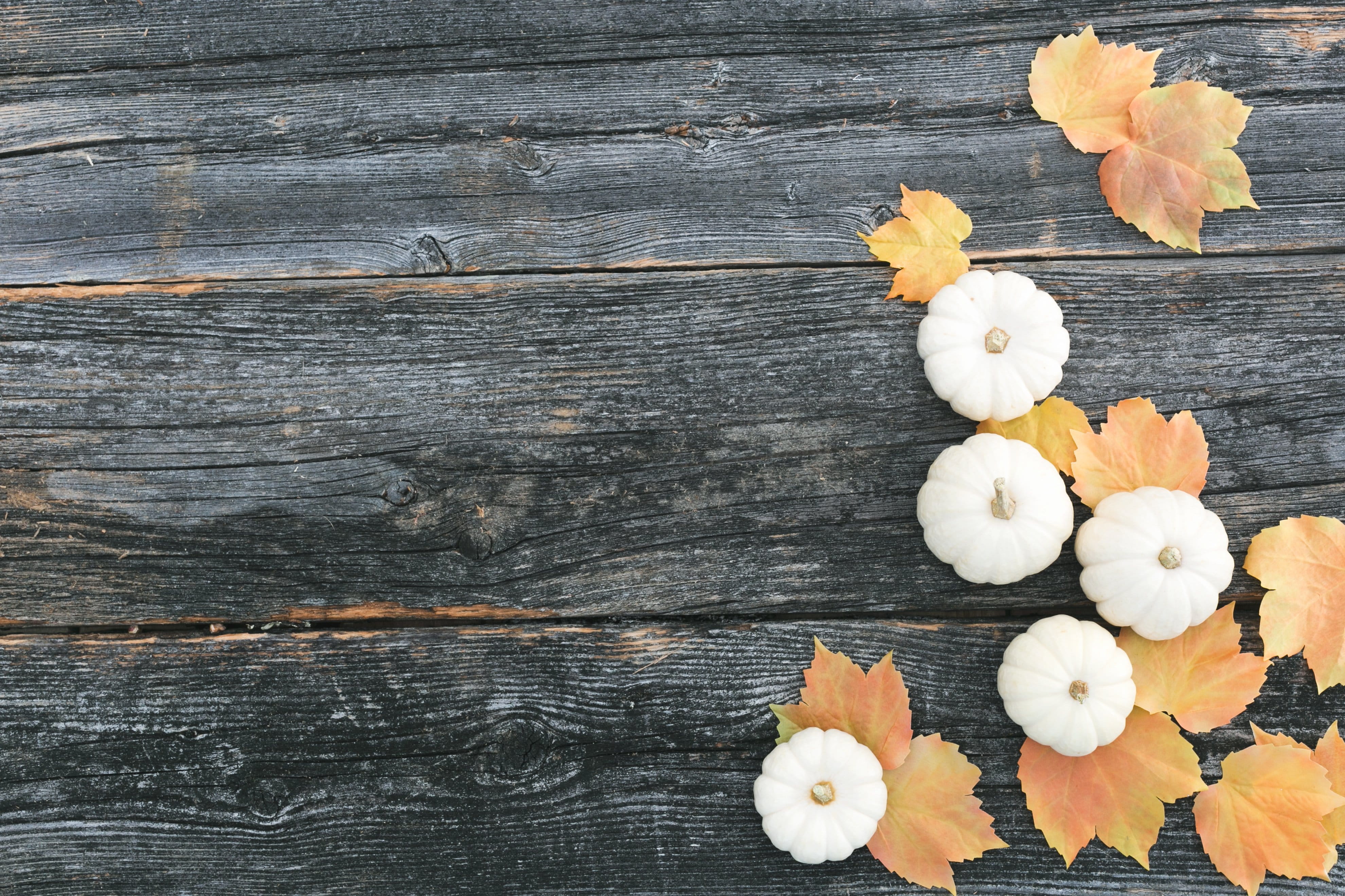 high angle view, woodgrain, nature, petal, Seasons, inflorescence, Flatlay, Thanksgiving, flower, close-up, fragility, table, 4K, wood - material, Fall, HD Wallpaper