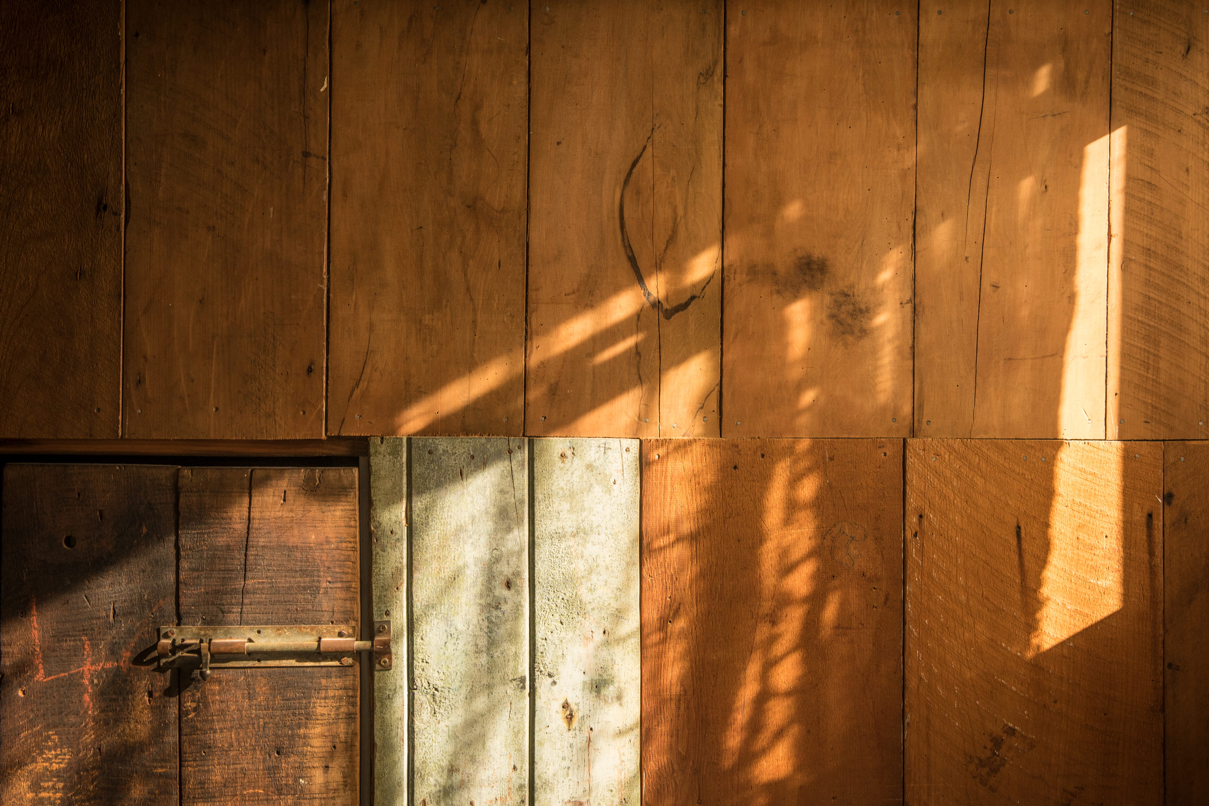 nature, wood, architecture, entrance, flooring, day, indoors, no people, 4K, wooden, wood - material, untitled, cellar, wall - building feature, old, built structure, HD Wallpaper