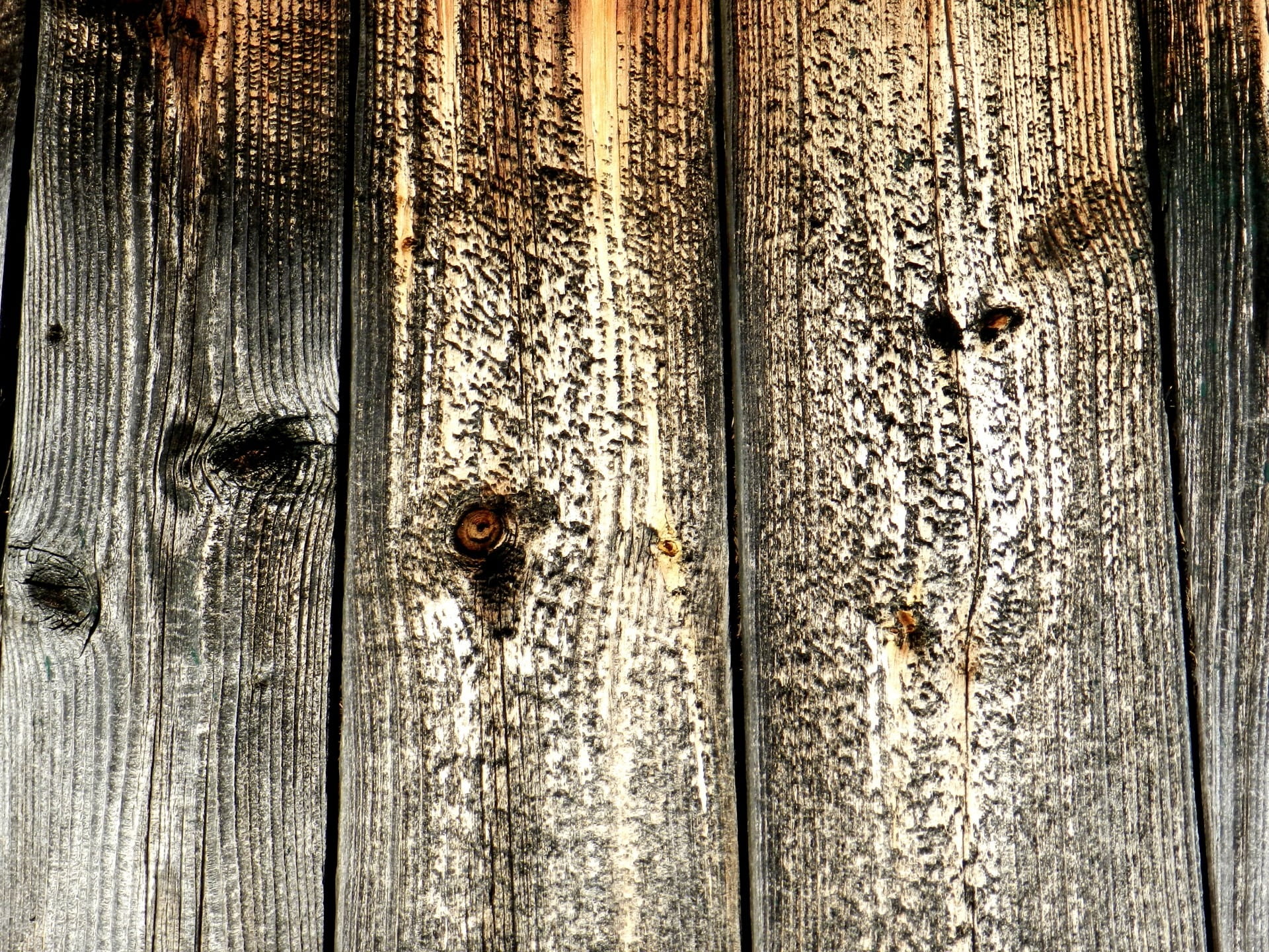 pattern, entrance, close-up, crack, outdoors, surface, textured, texture, wooden, deterioration, knots, decline, metal, protection, timber, 1080P, no people, HD Wallpaper