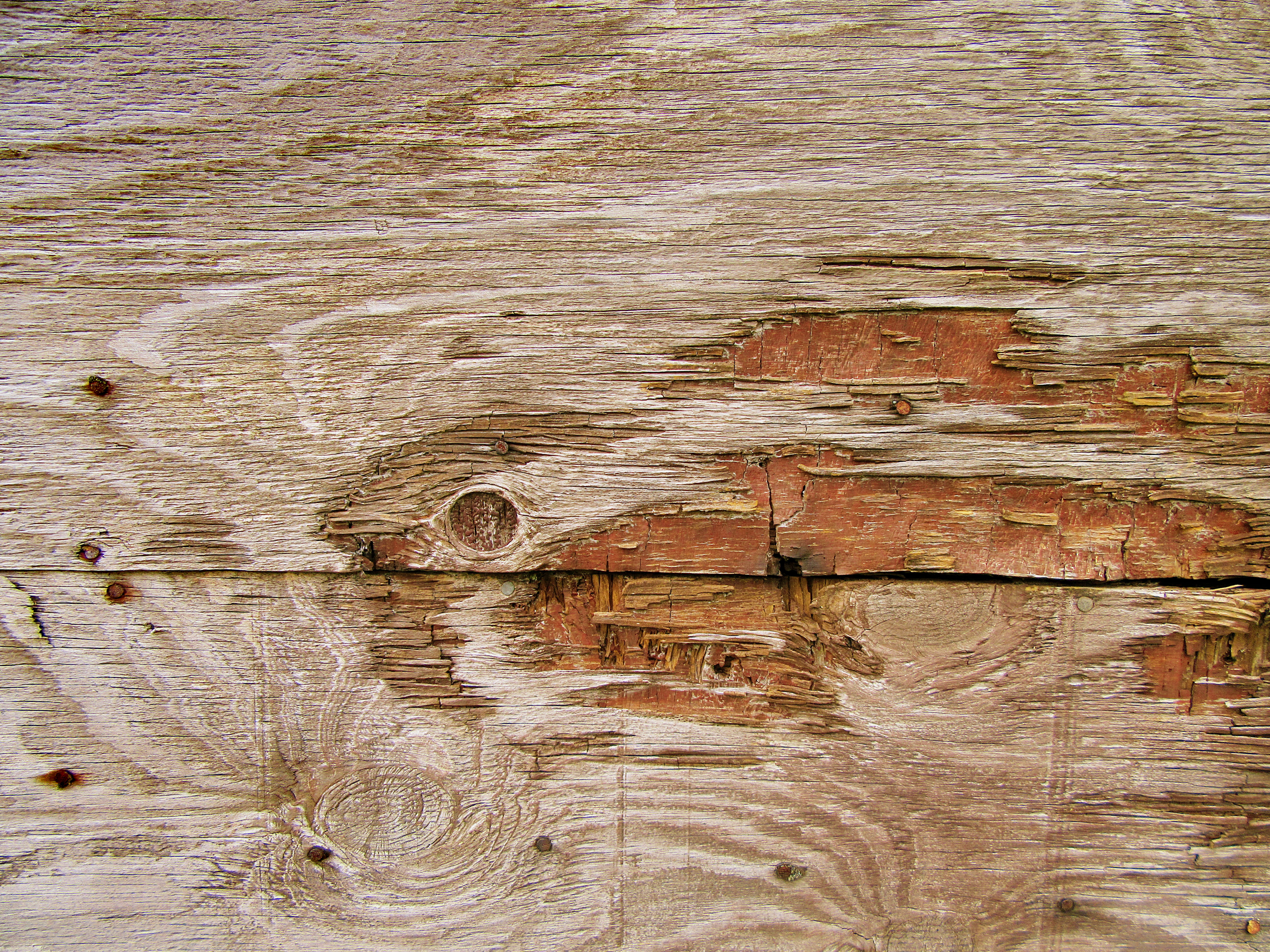 rough, pattern, rack, texture, deterioration, woodgrain, animal, brown, backgrounds, plywood, apiary, no people, close-up, built structure, knots, hardwood, HD Wallpaper